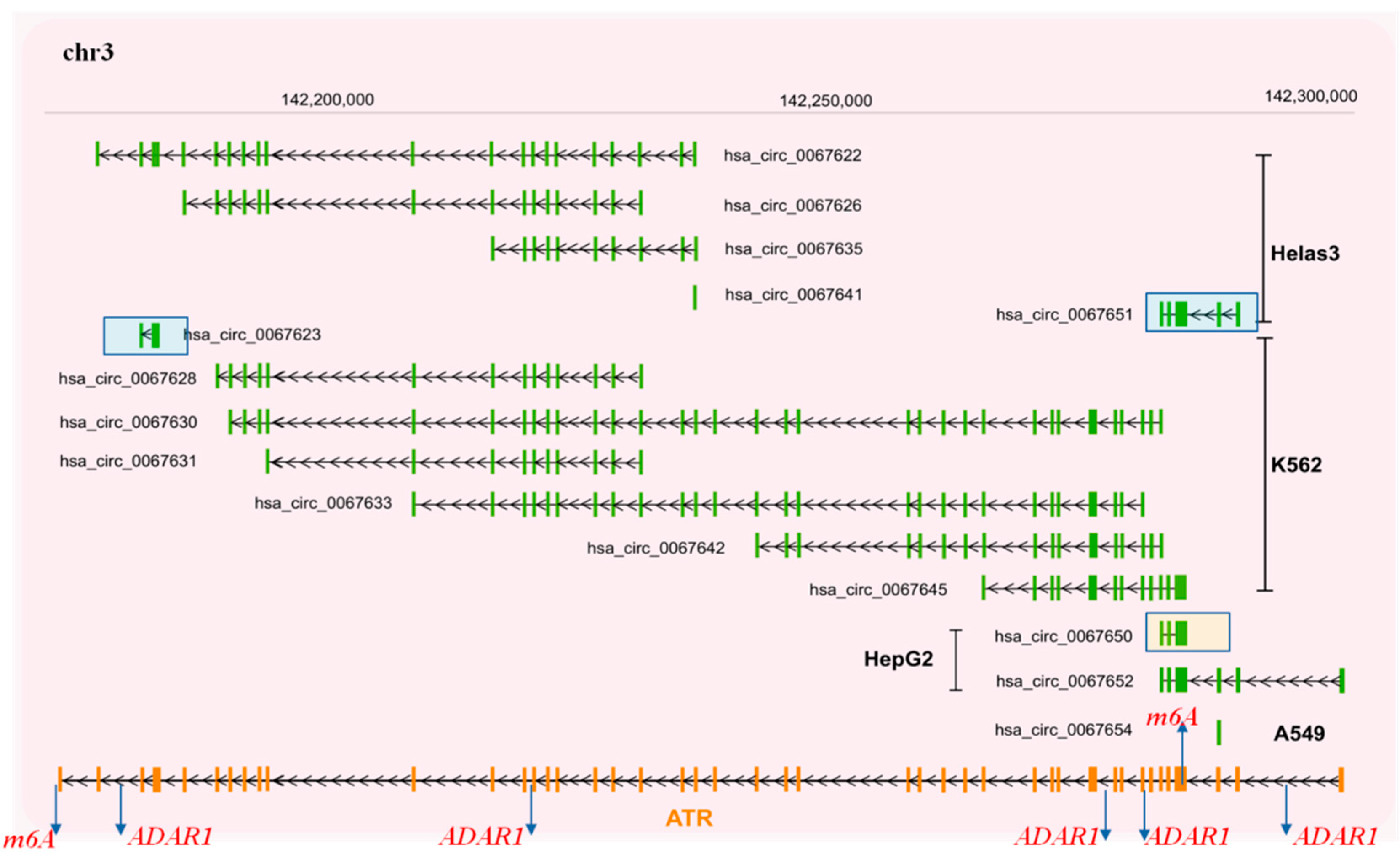 Cancers 13 05352 g005