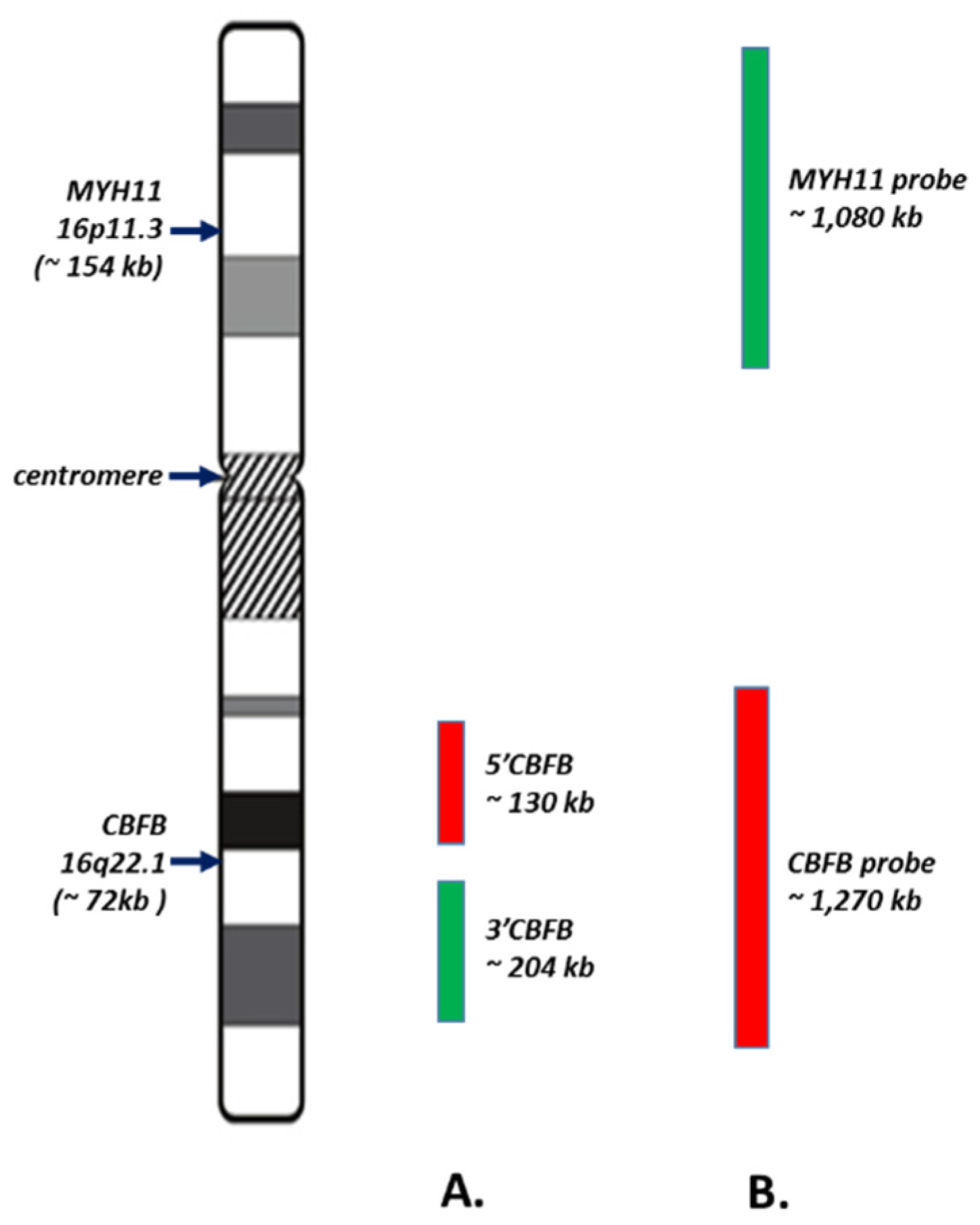 Cancers 13 05354 g001