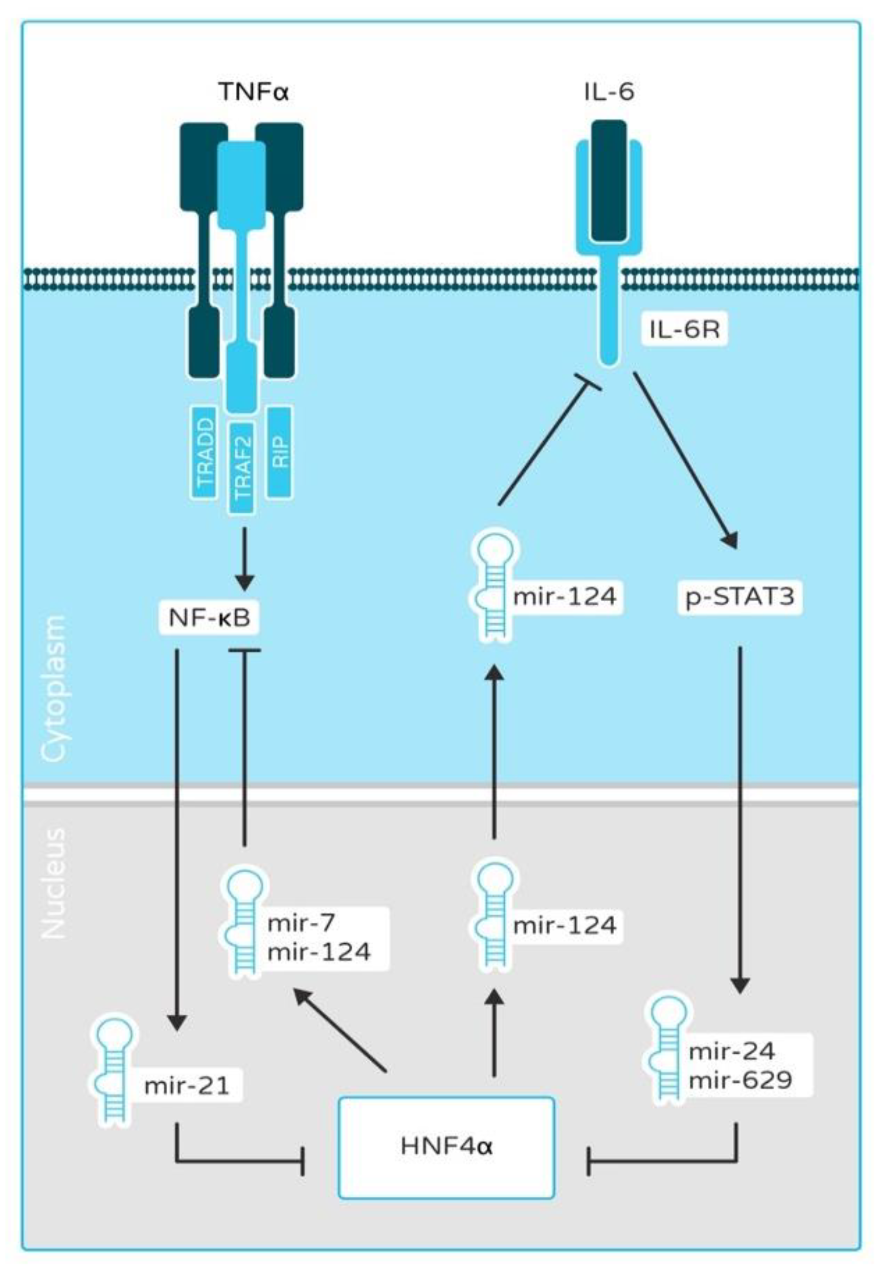 Cancers 13 05357 g001
