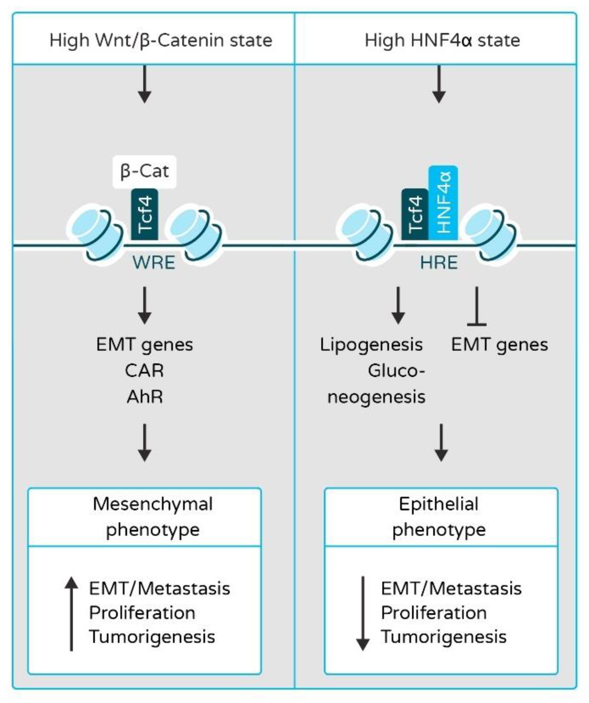 Cancers 13 05357 g002