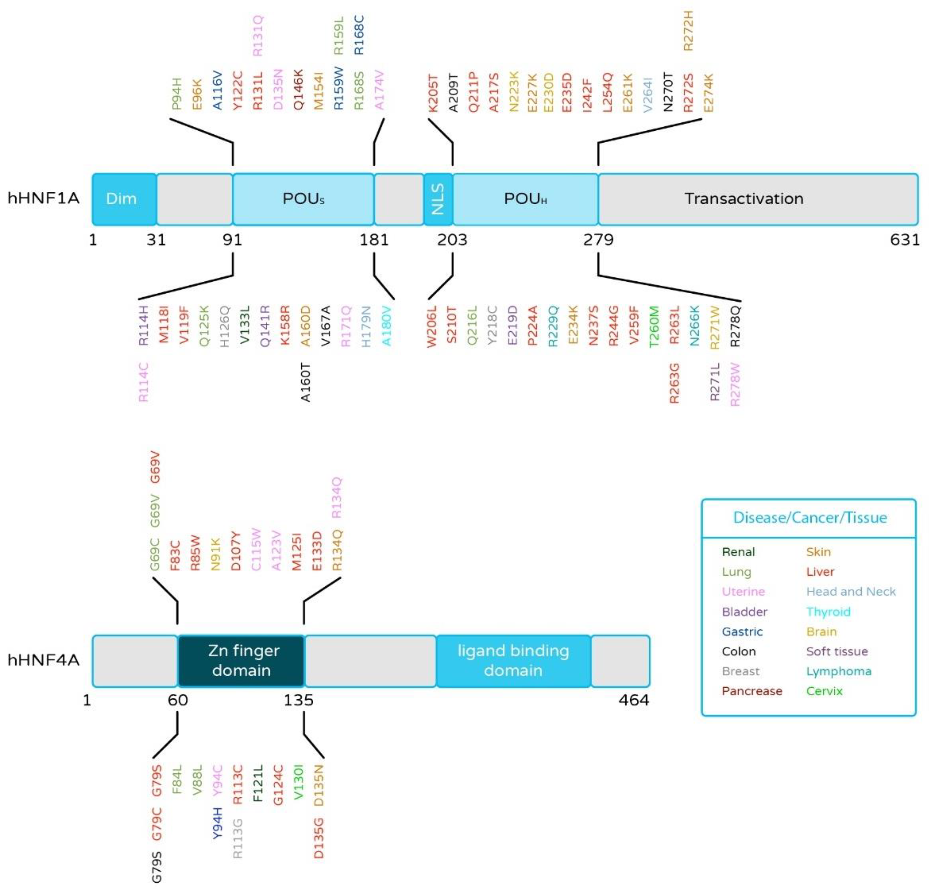 Cancers 13 05357 g003