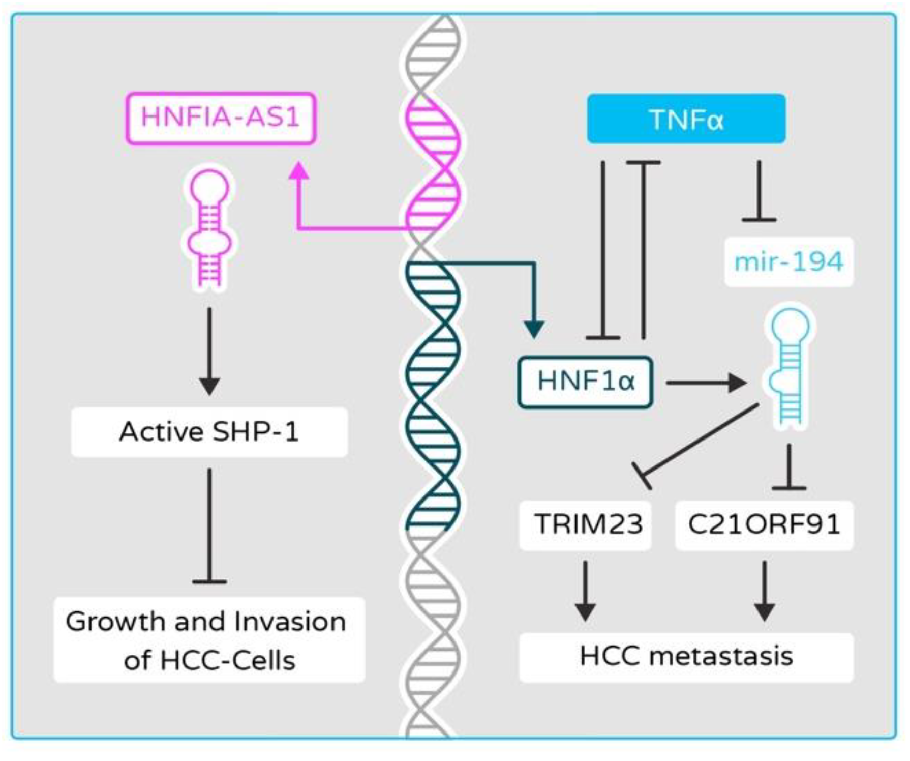 Cancers 13 05357 g004