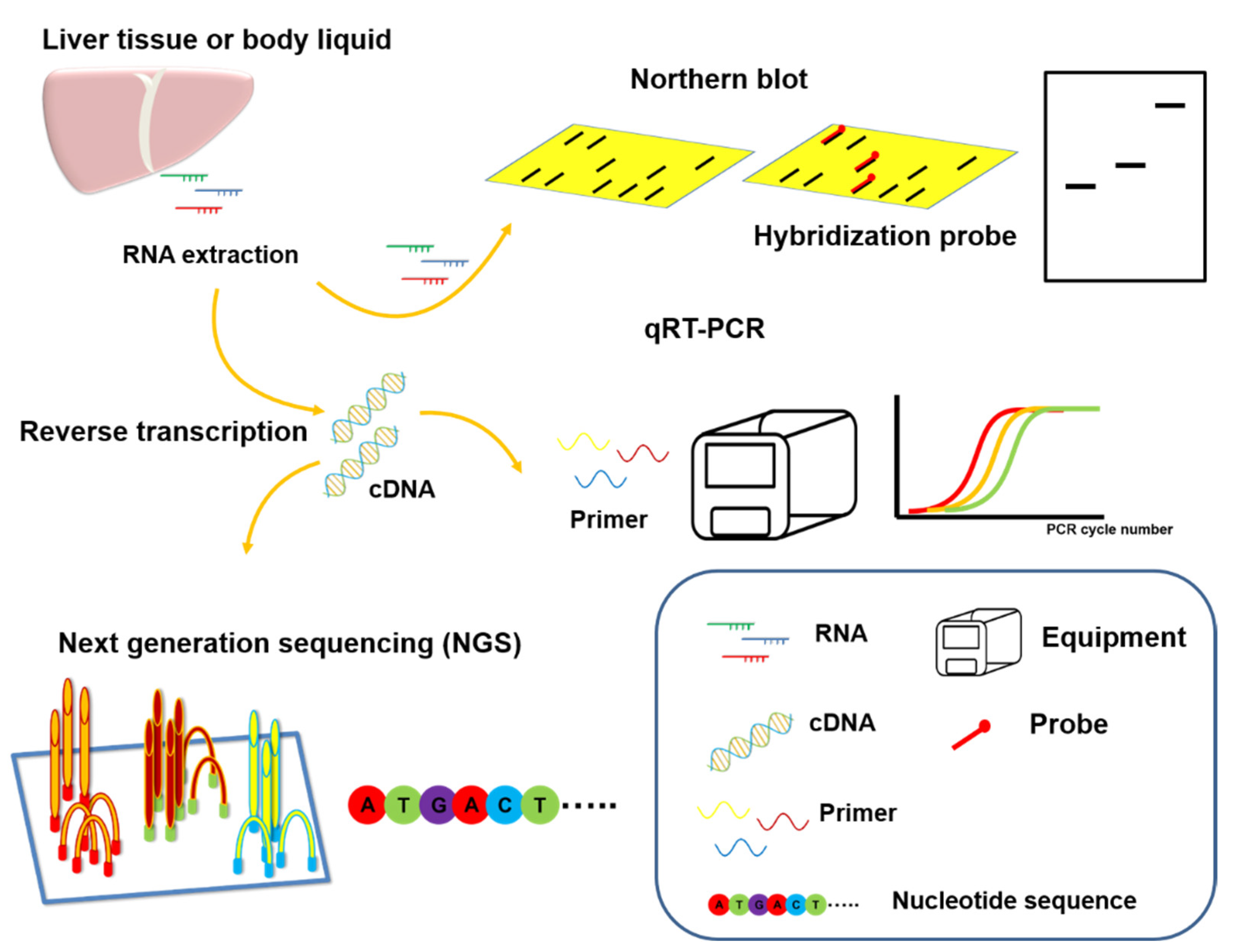 Cancers 13 05361 g003