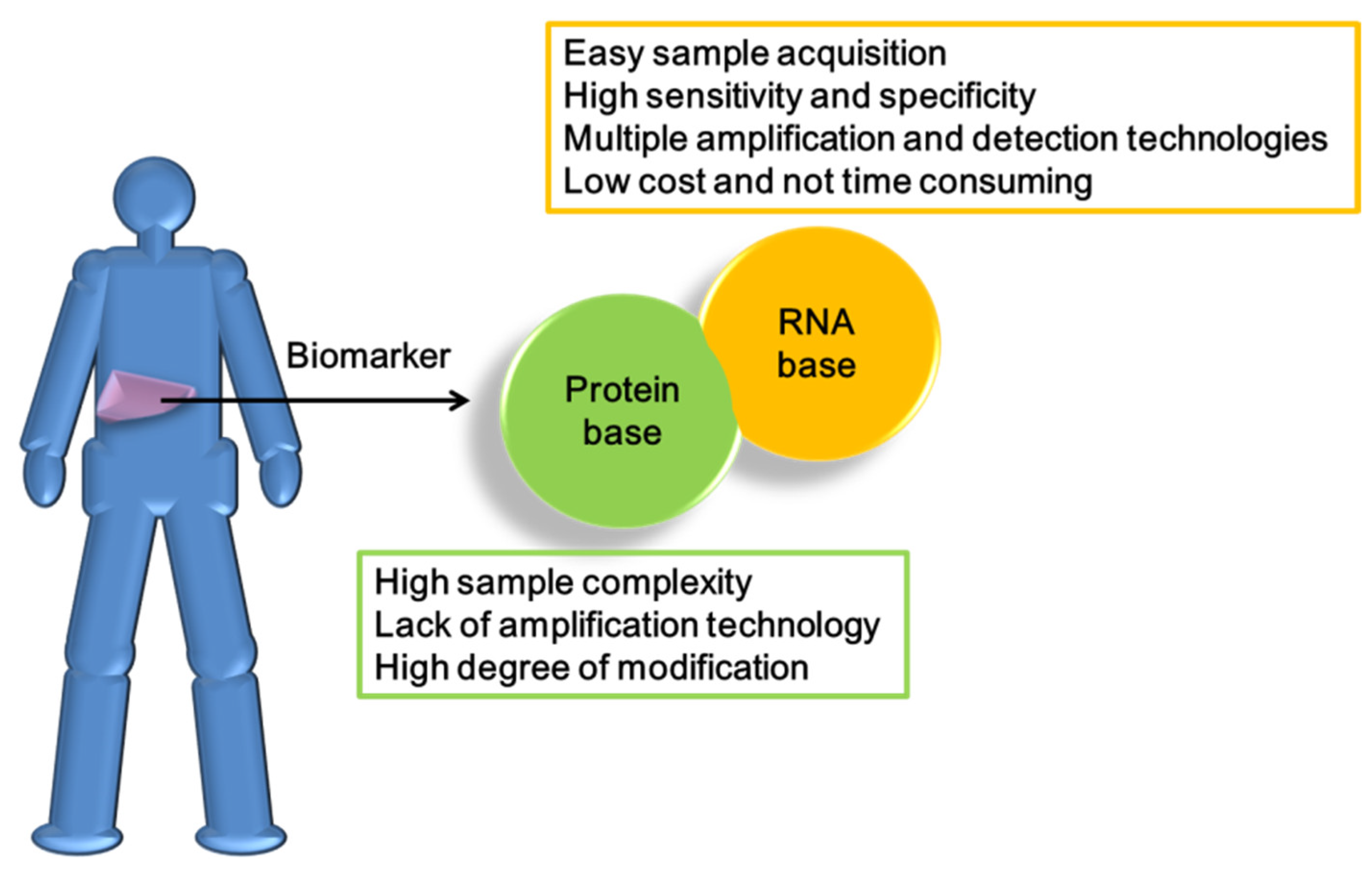Cancers 13 05361 g004