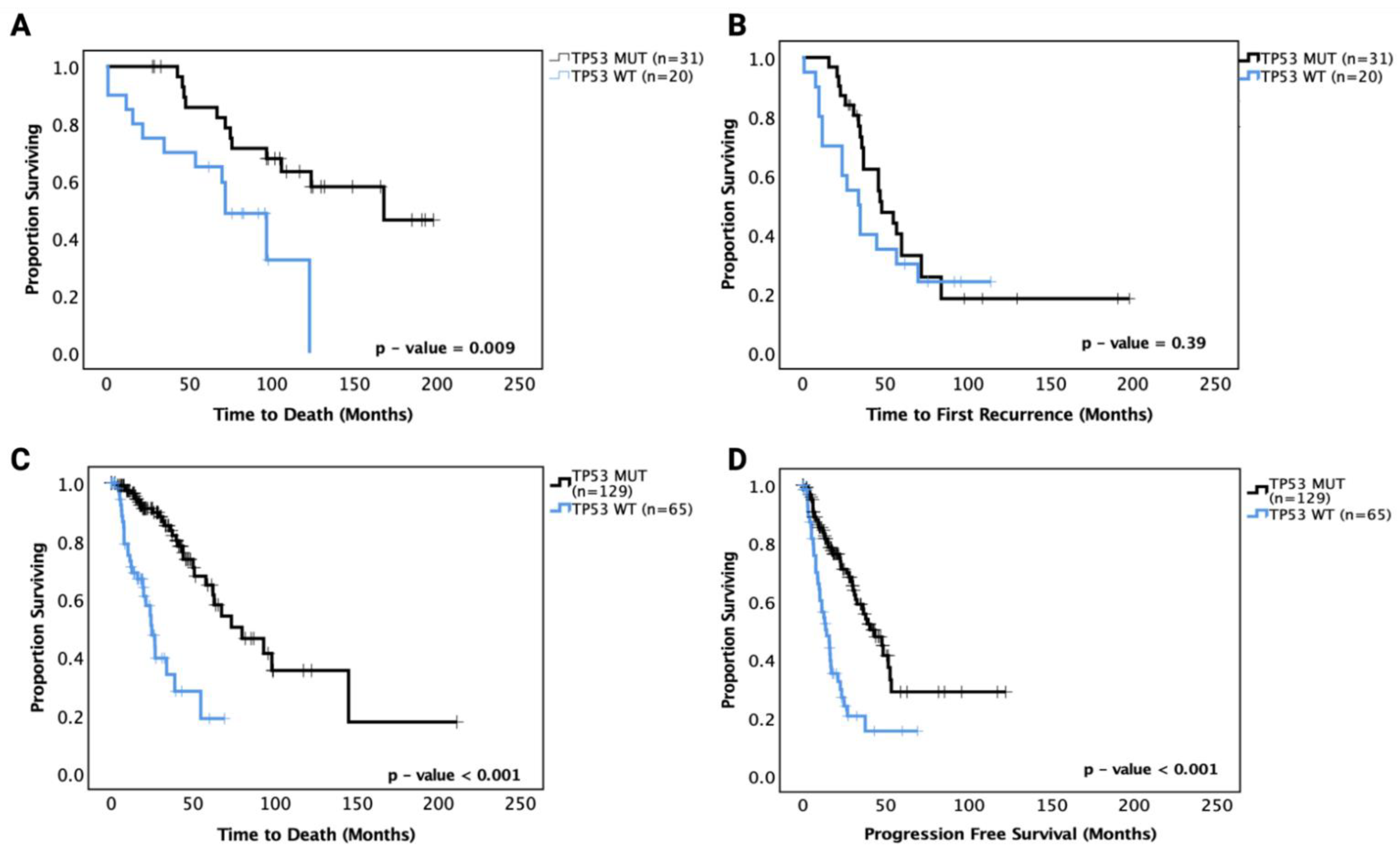 Cancers 13 05362 g002