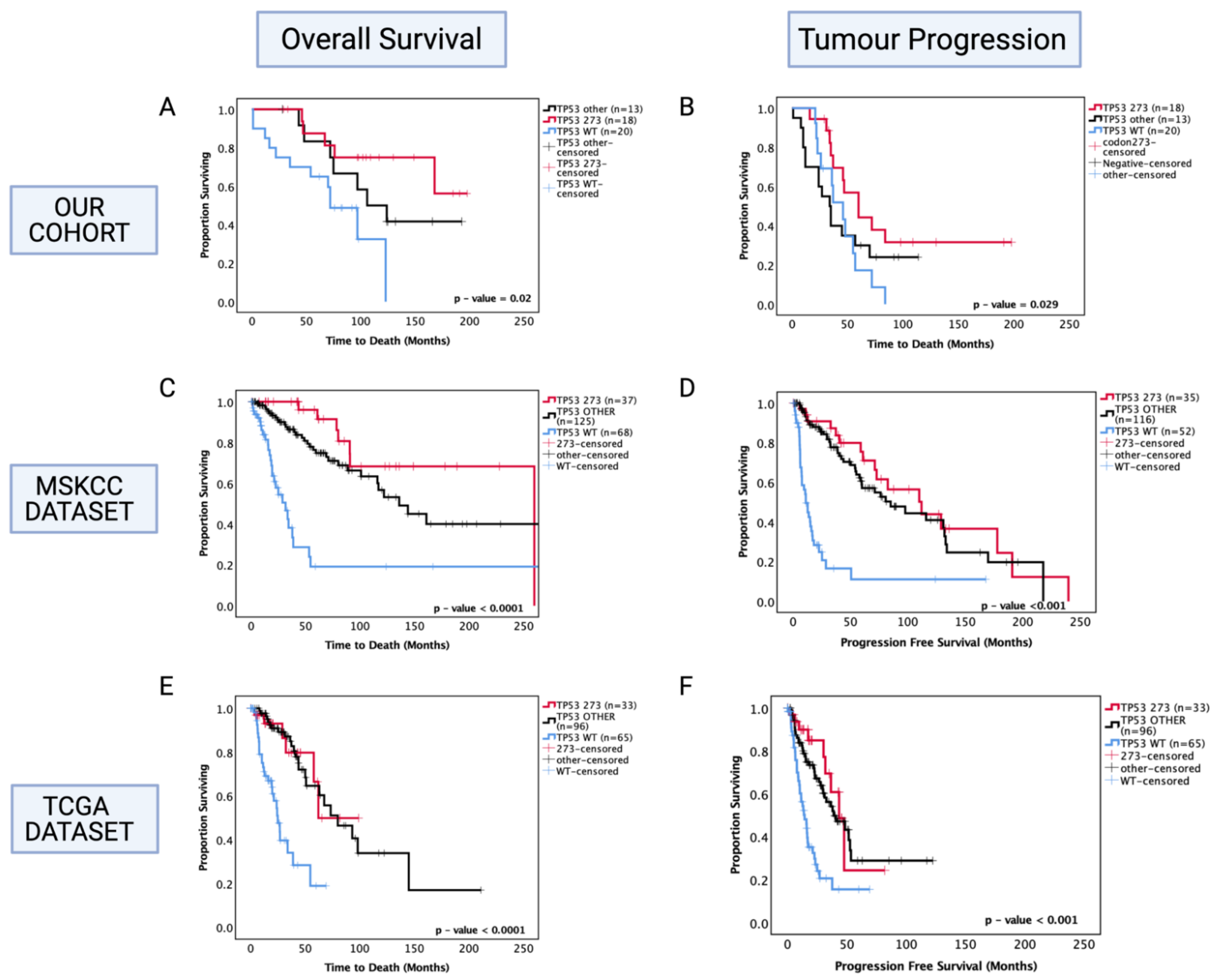 Cancers 13 05362 g003