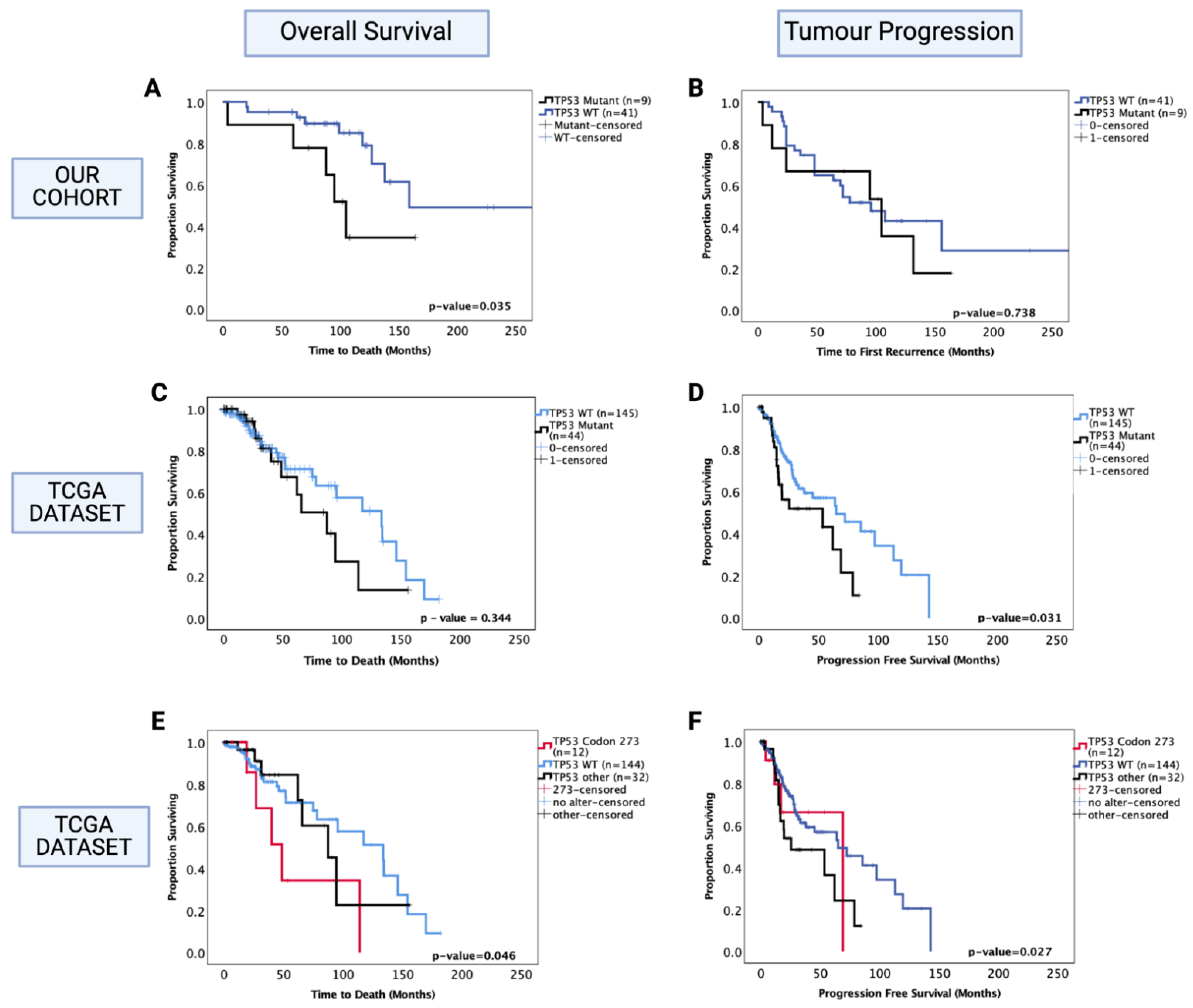 Cancers 13 05362 g004