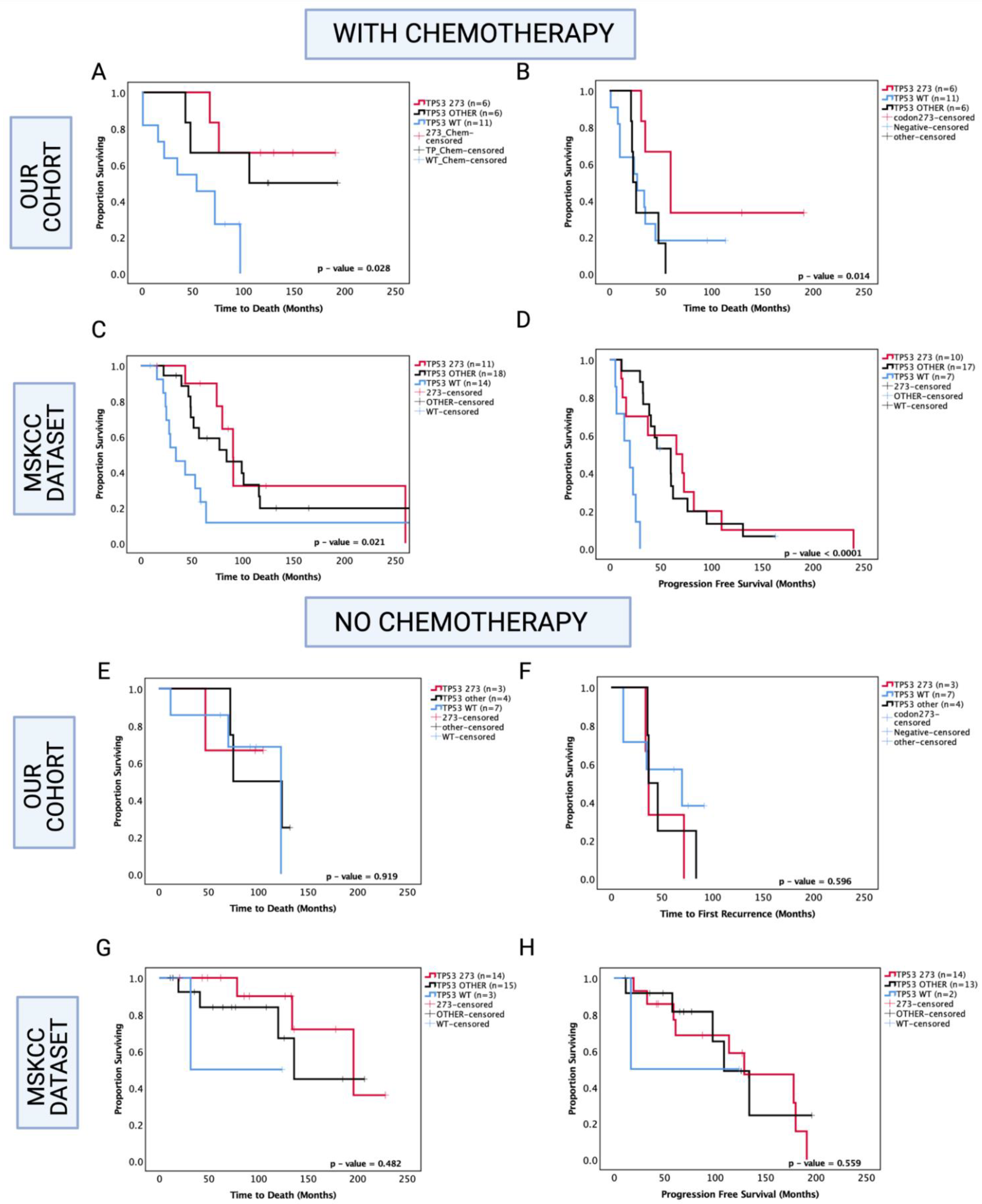 Cancers 13 05362 g006
