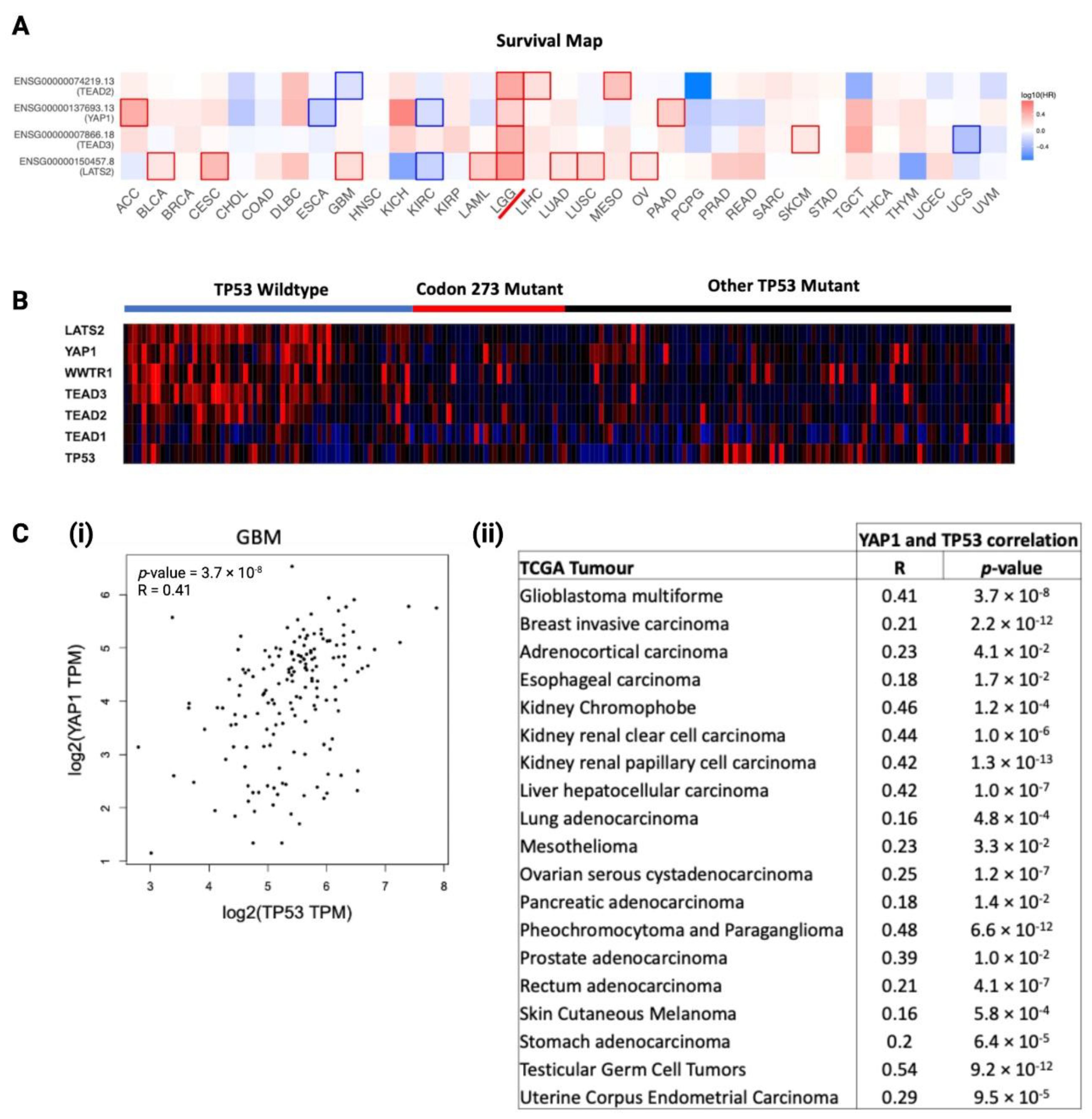 Cancers 13 05362 g007