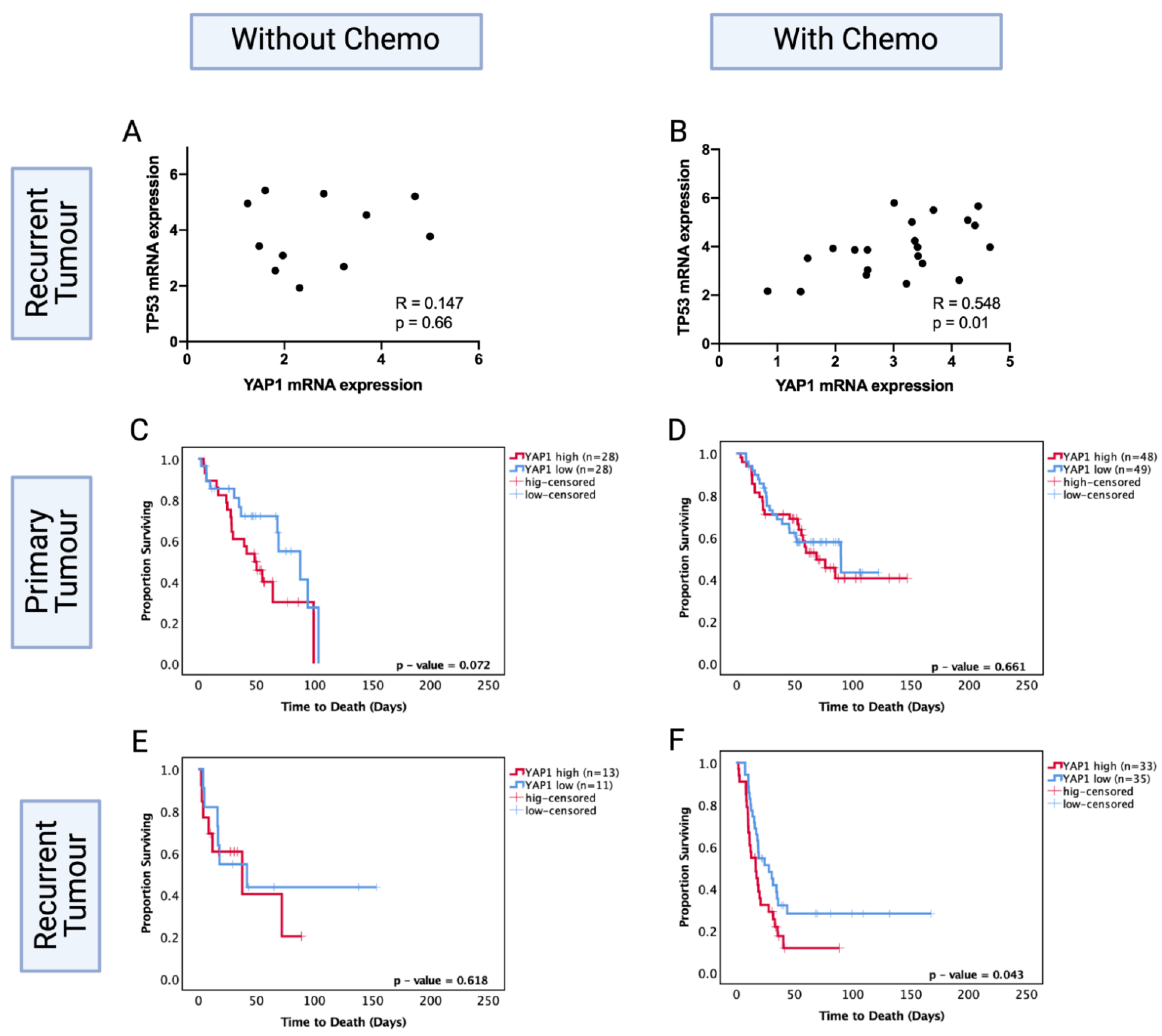 Cancers 13 05362 g008