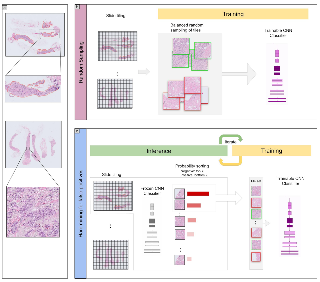 Cancers 13 05368 g001