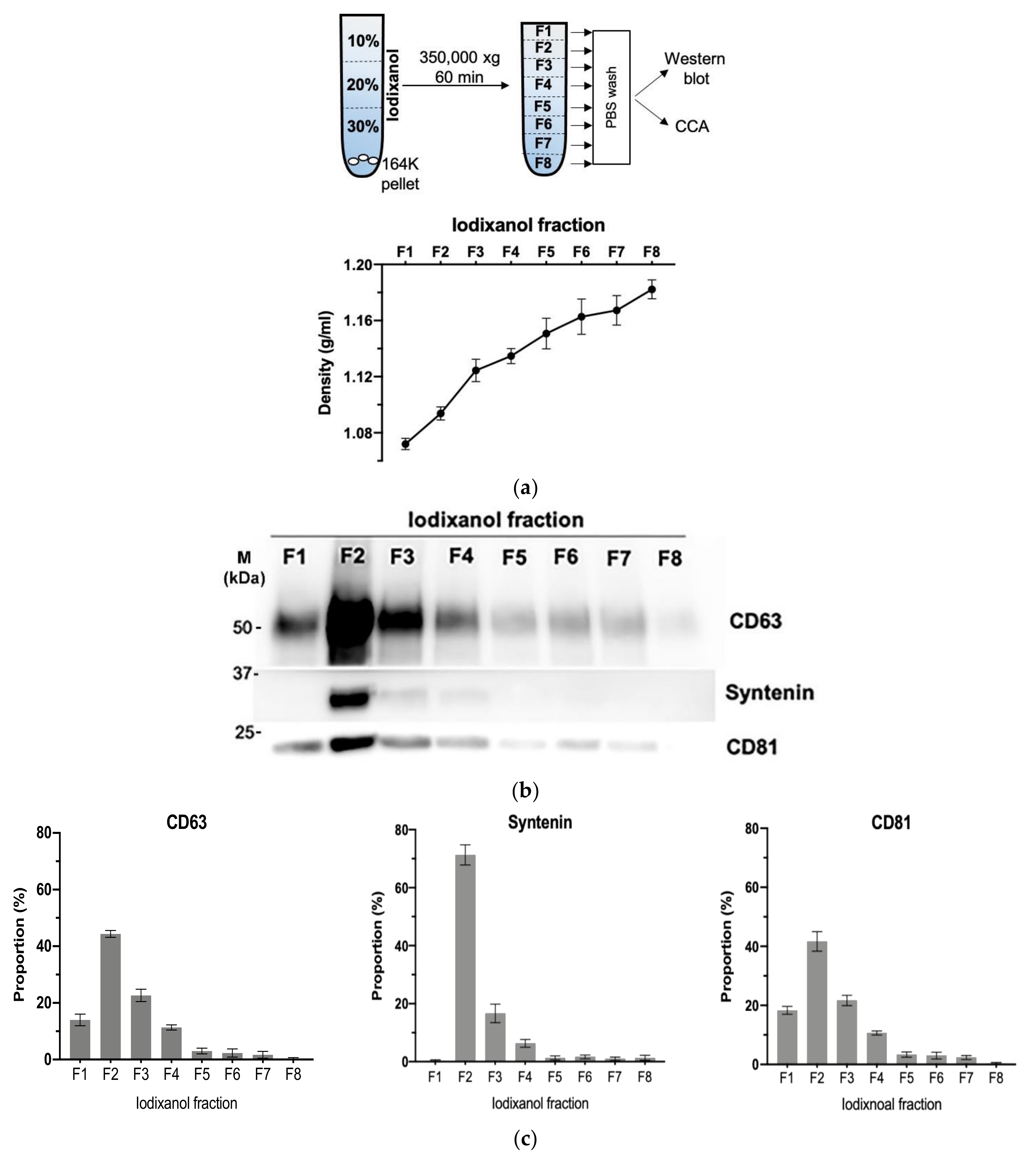 Cancers 13 05369 g004a
