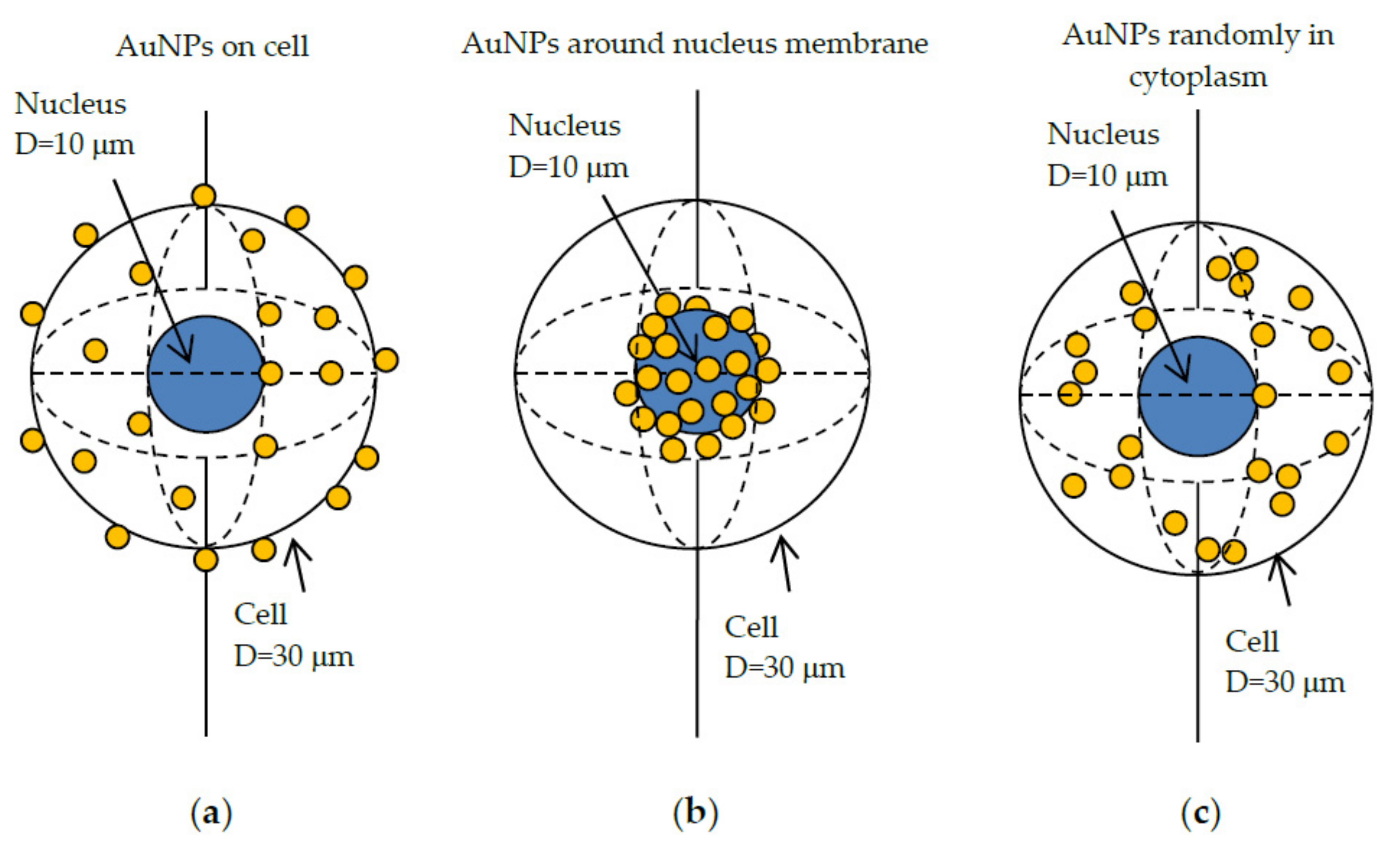 Cancers 13 05370 g004