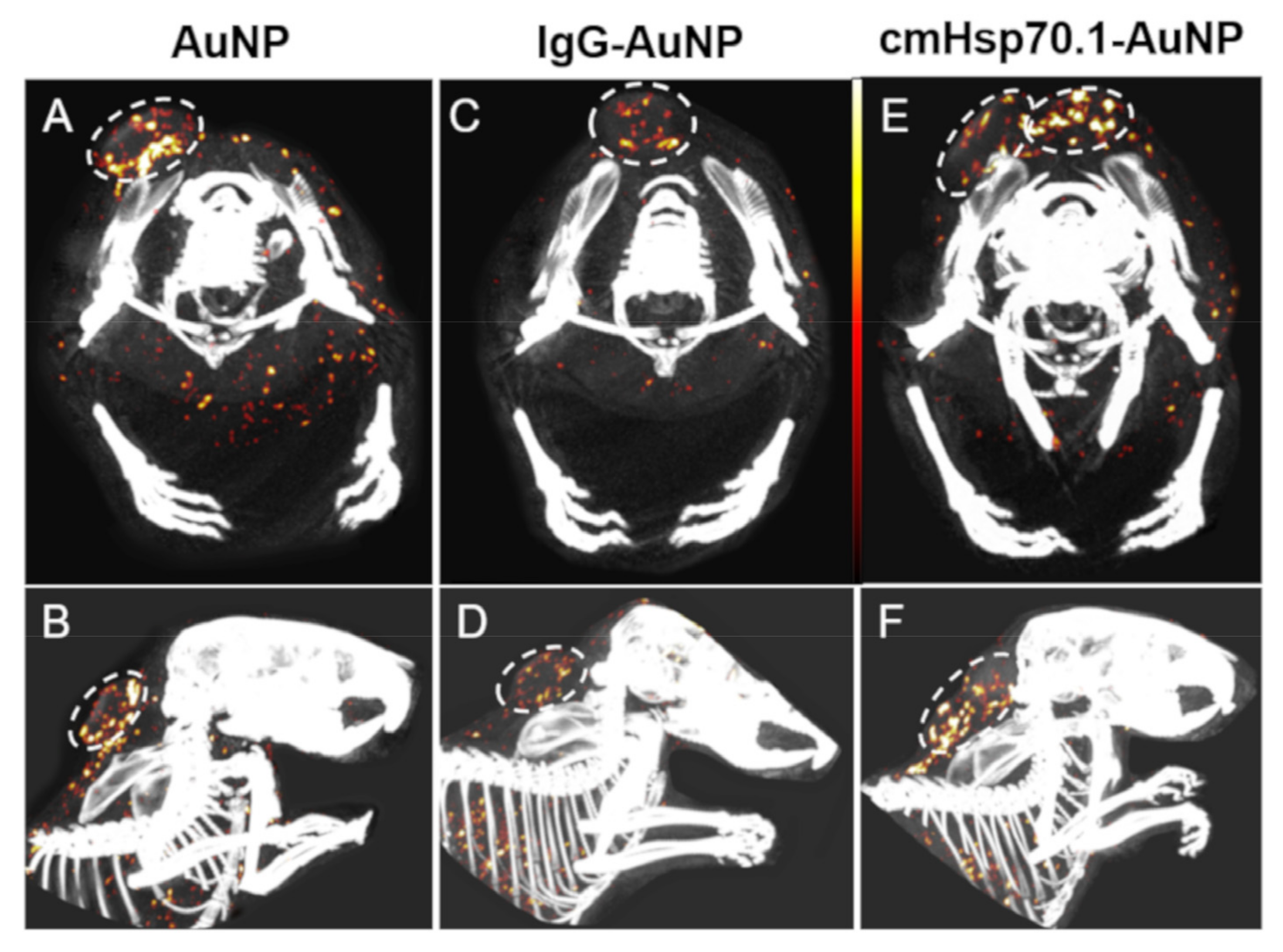 Cancers 13 05370 g007