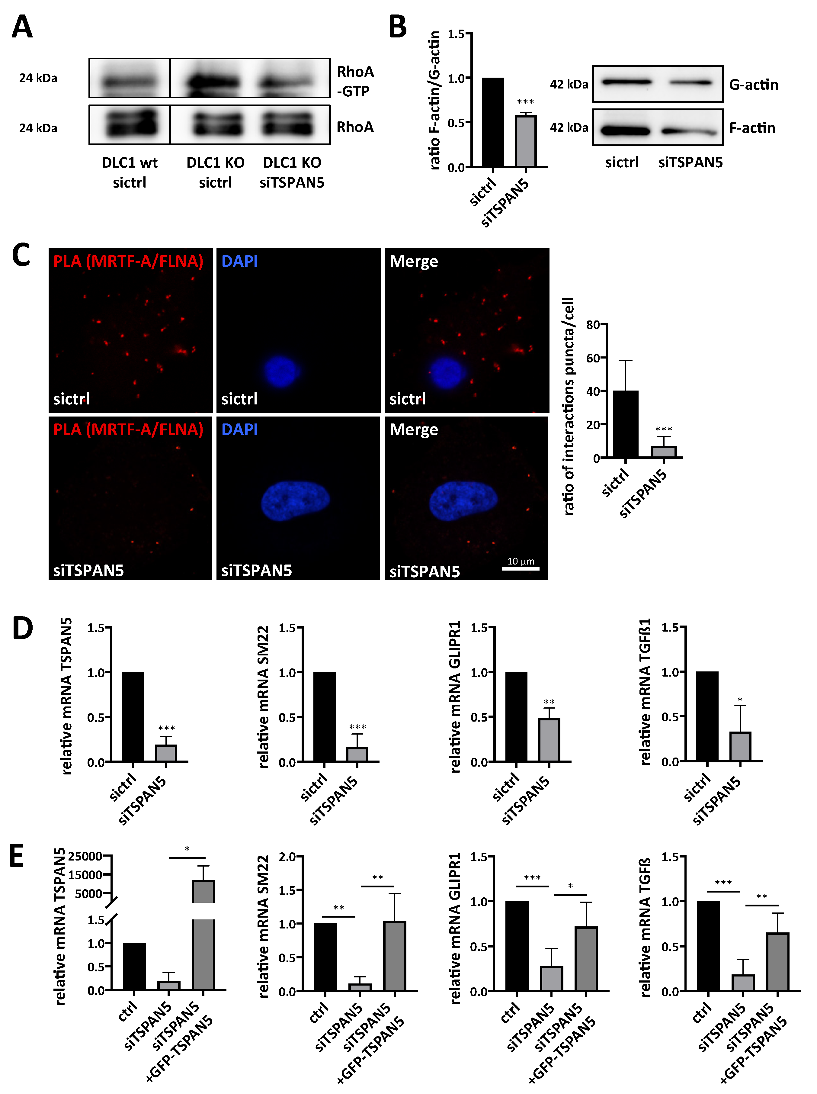 Cancers 13 05373 g005