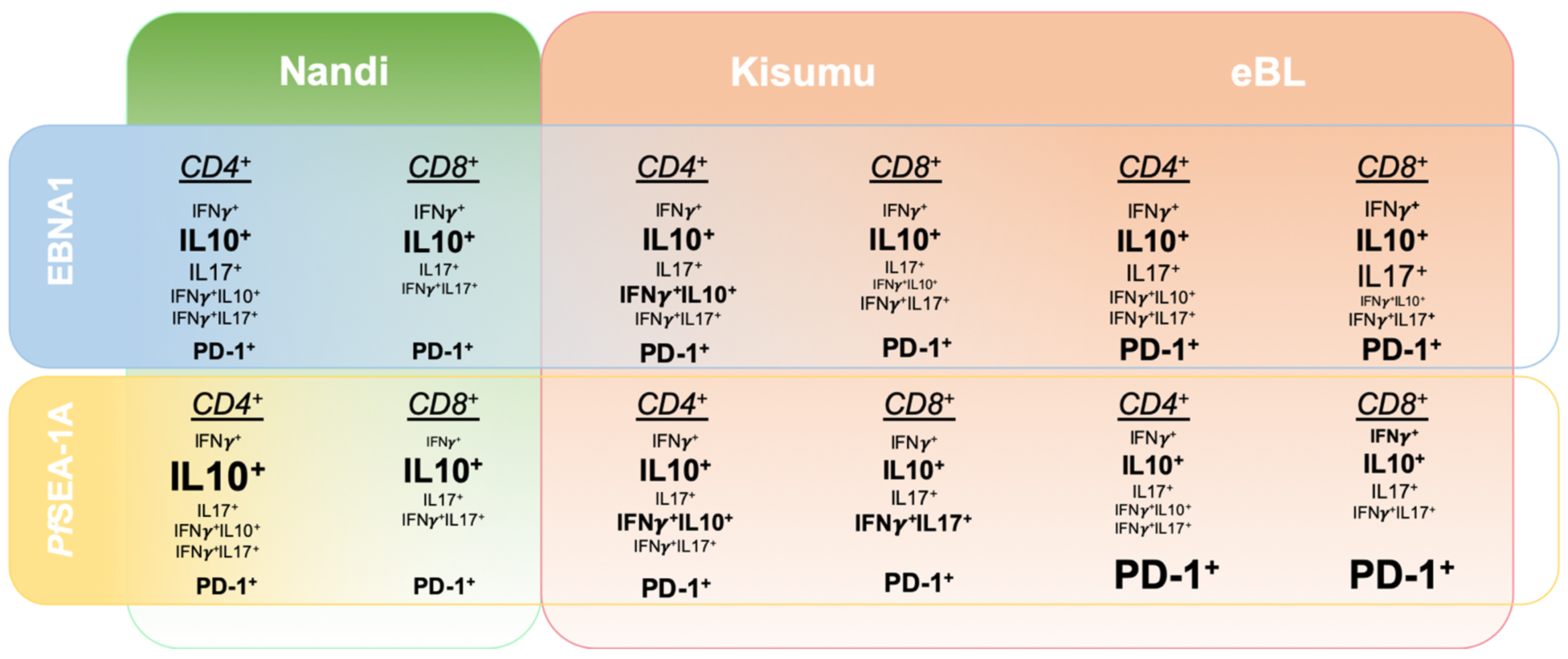 Cancers 13 05375 g008