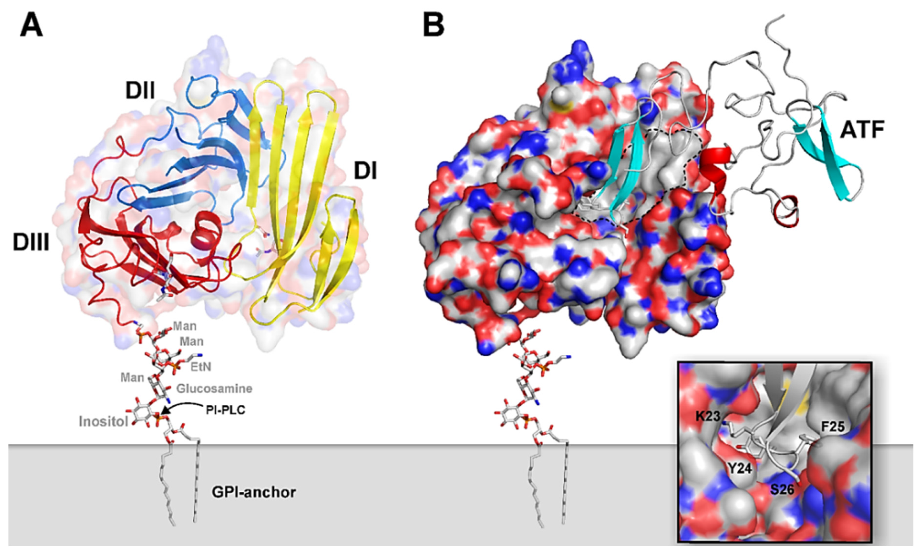 Cancers 13 05376 g001