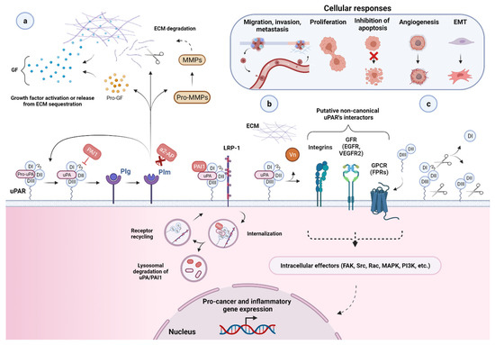 Cancers 13 05376 g003