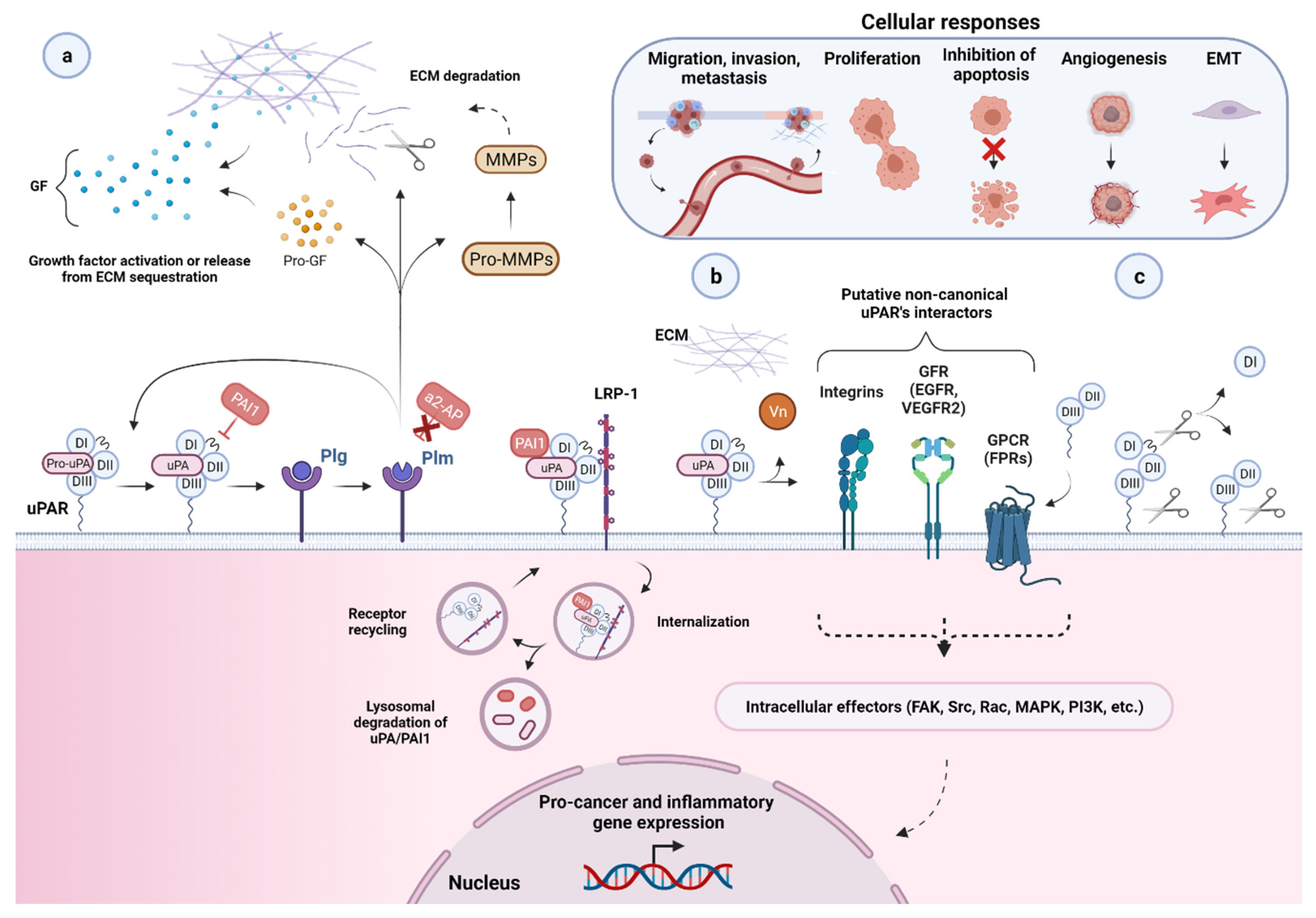 Cancers 13 05376 g003