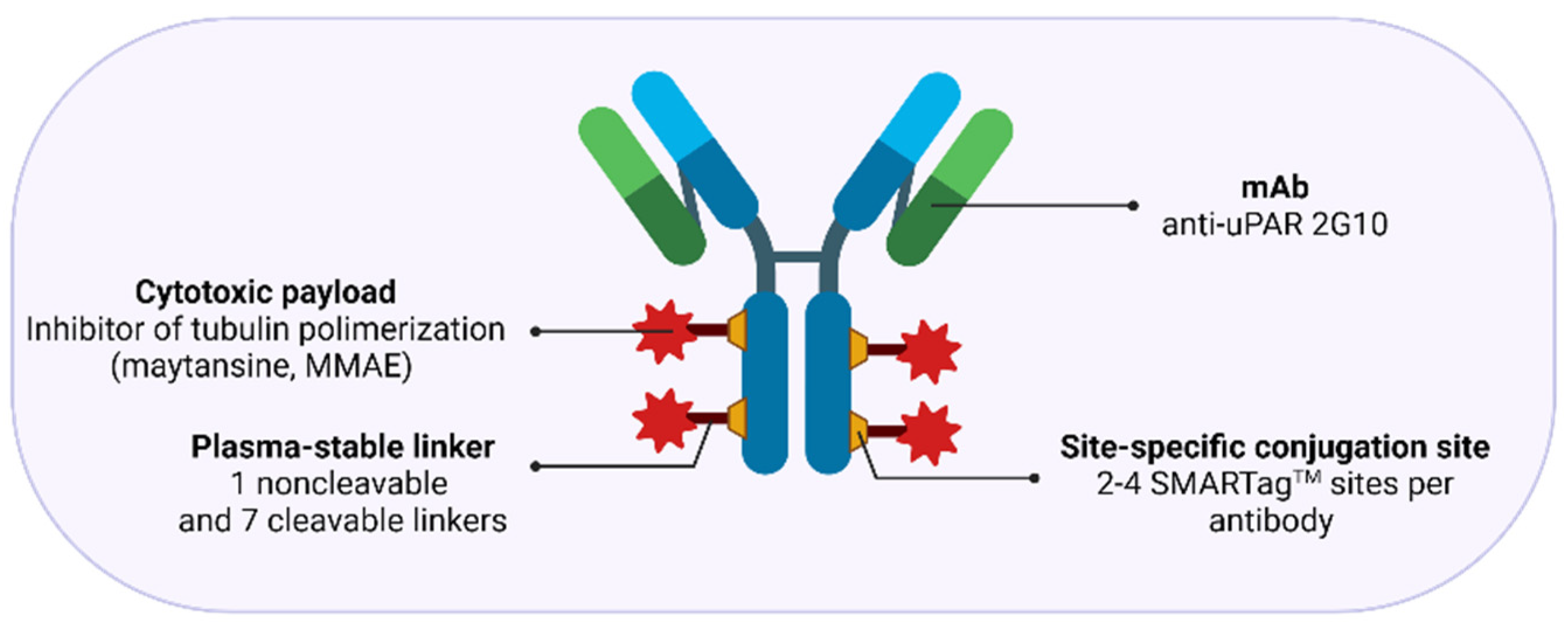 Cancers 13 05376 g008