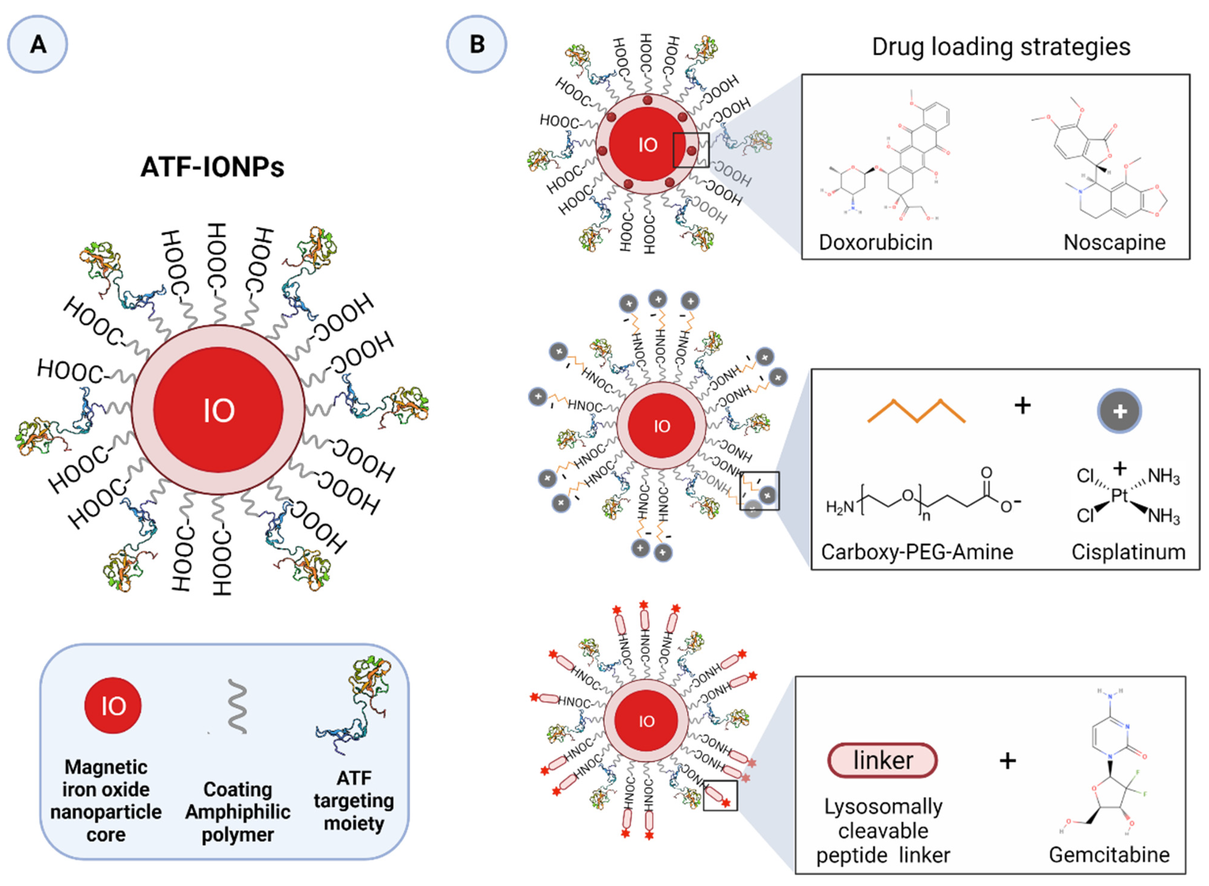 Cancers 13 05376 g009