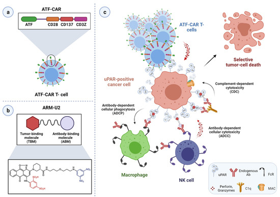 Cancers 13 05376 g011