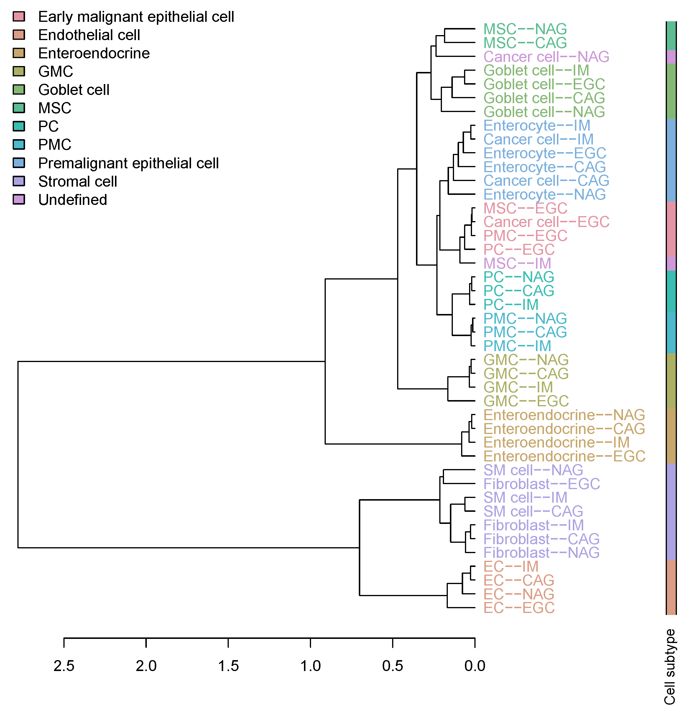 Cancers 13 05382 g001