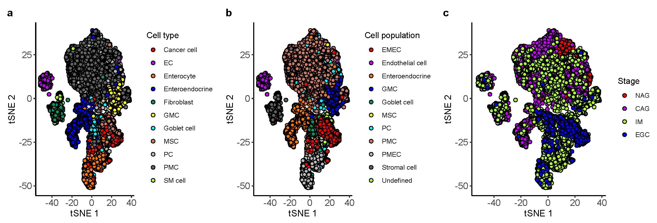 Cancers 13 05382 g002
