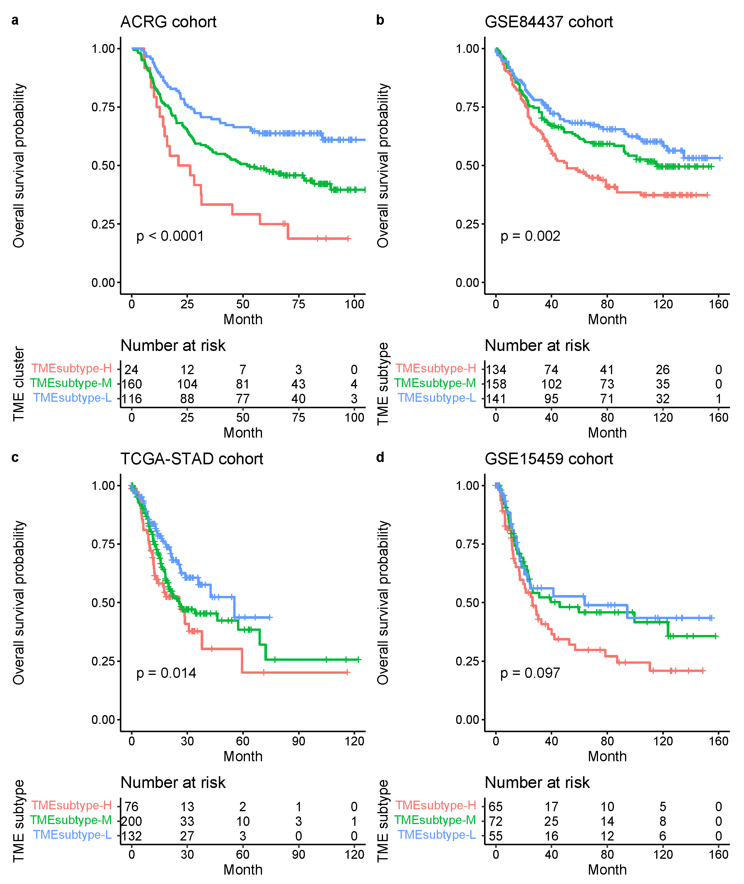 Cancers 13 05382 g017