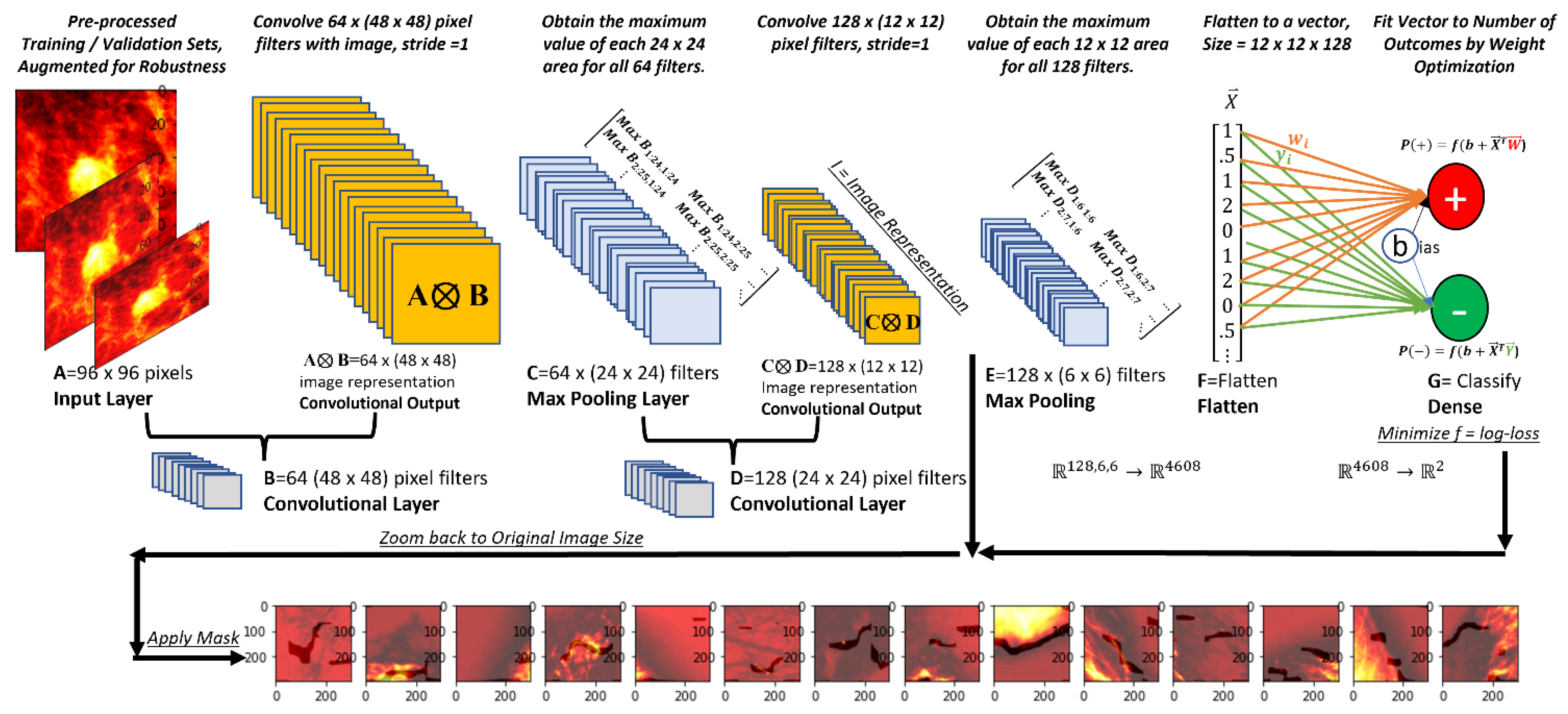 Cancers 13 05384 g001