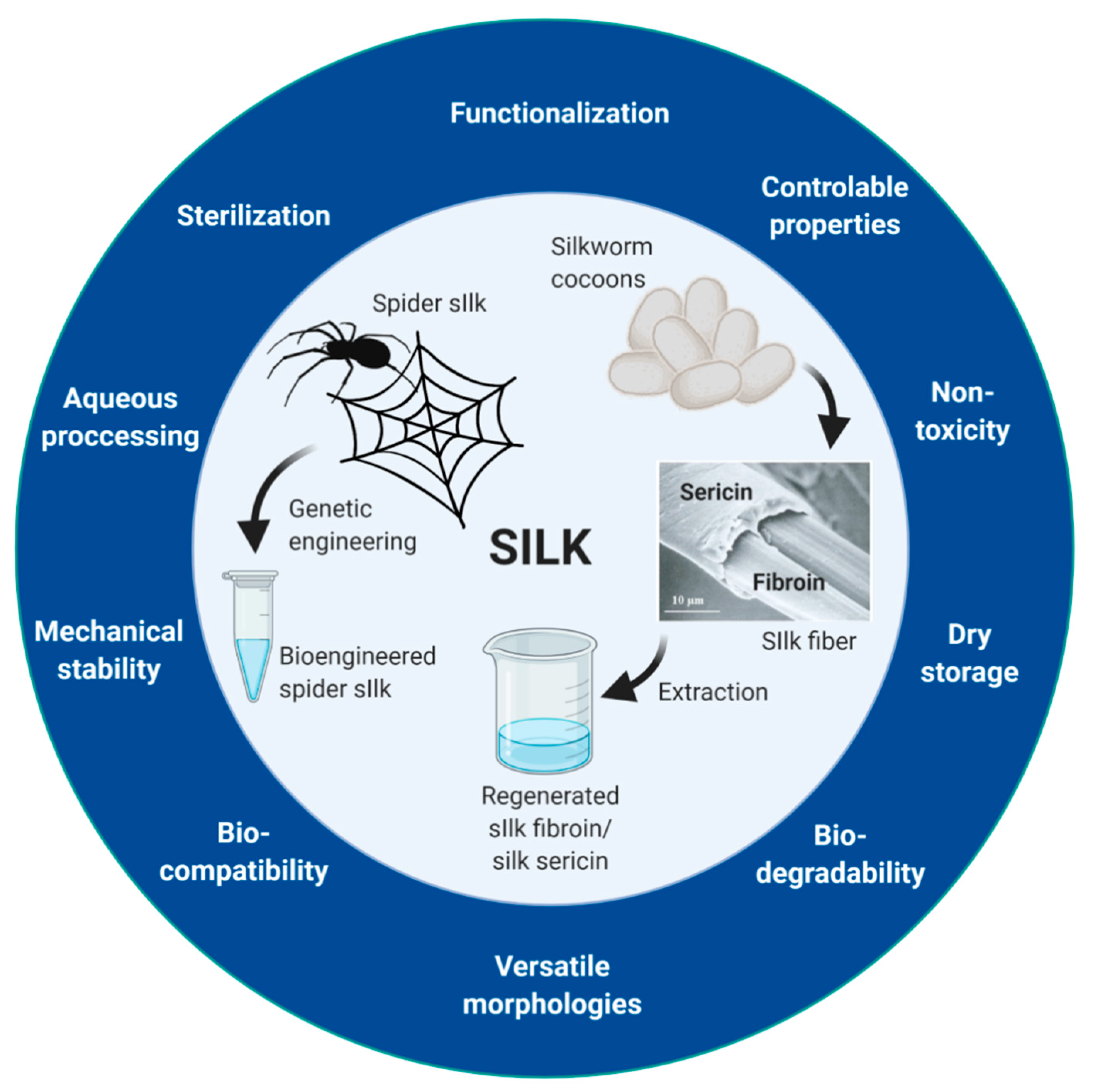 Cancers 13 05389 g001