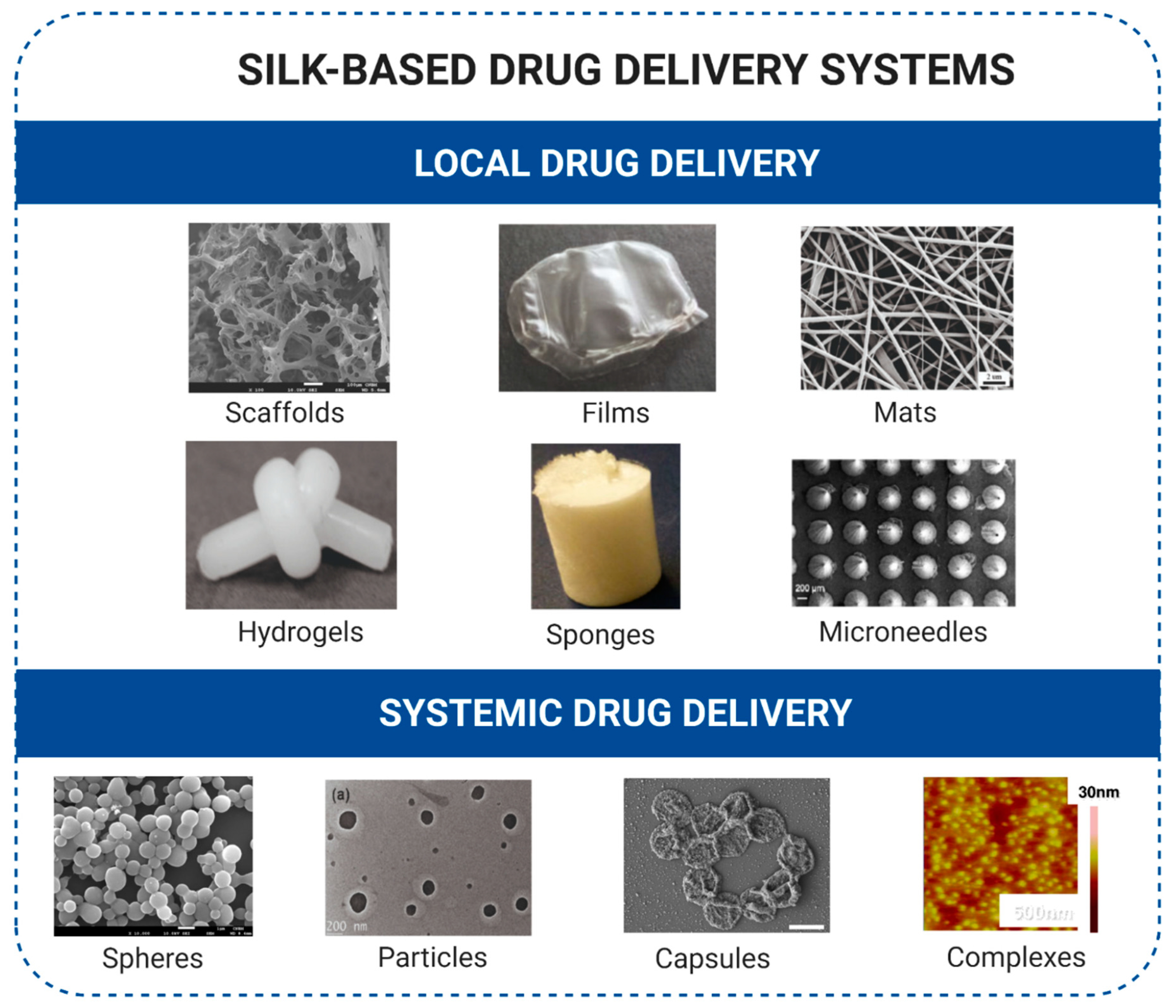 Cancers 13 05389 g002