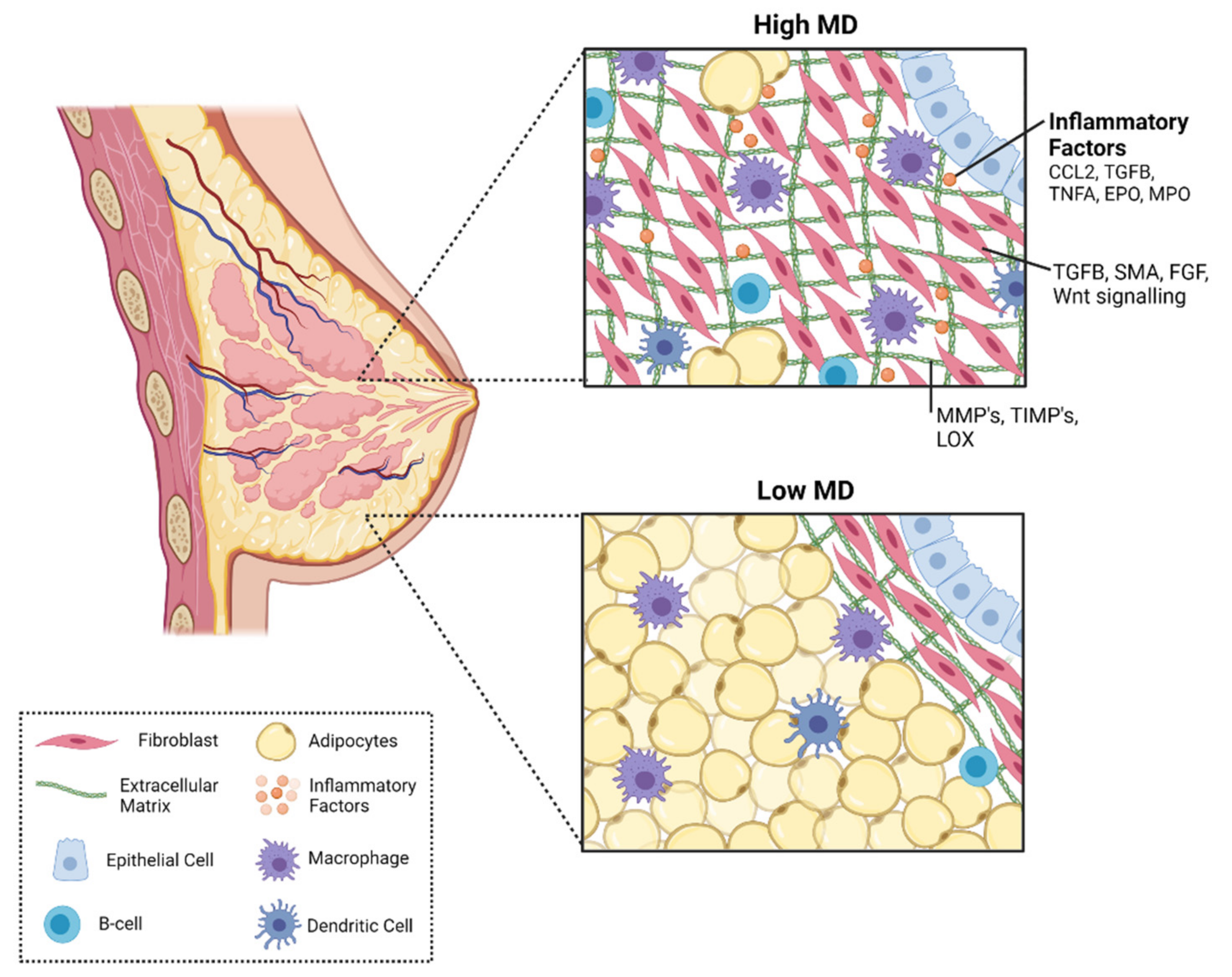 Cancers 13 05391 g002 Cancers 13 05391 g002
