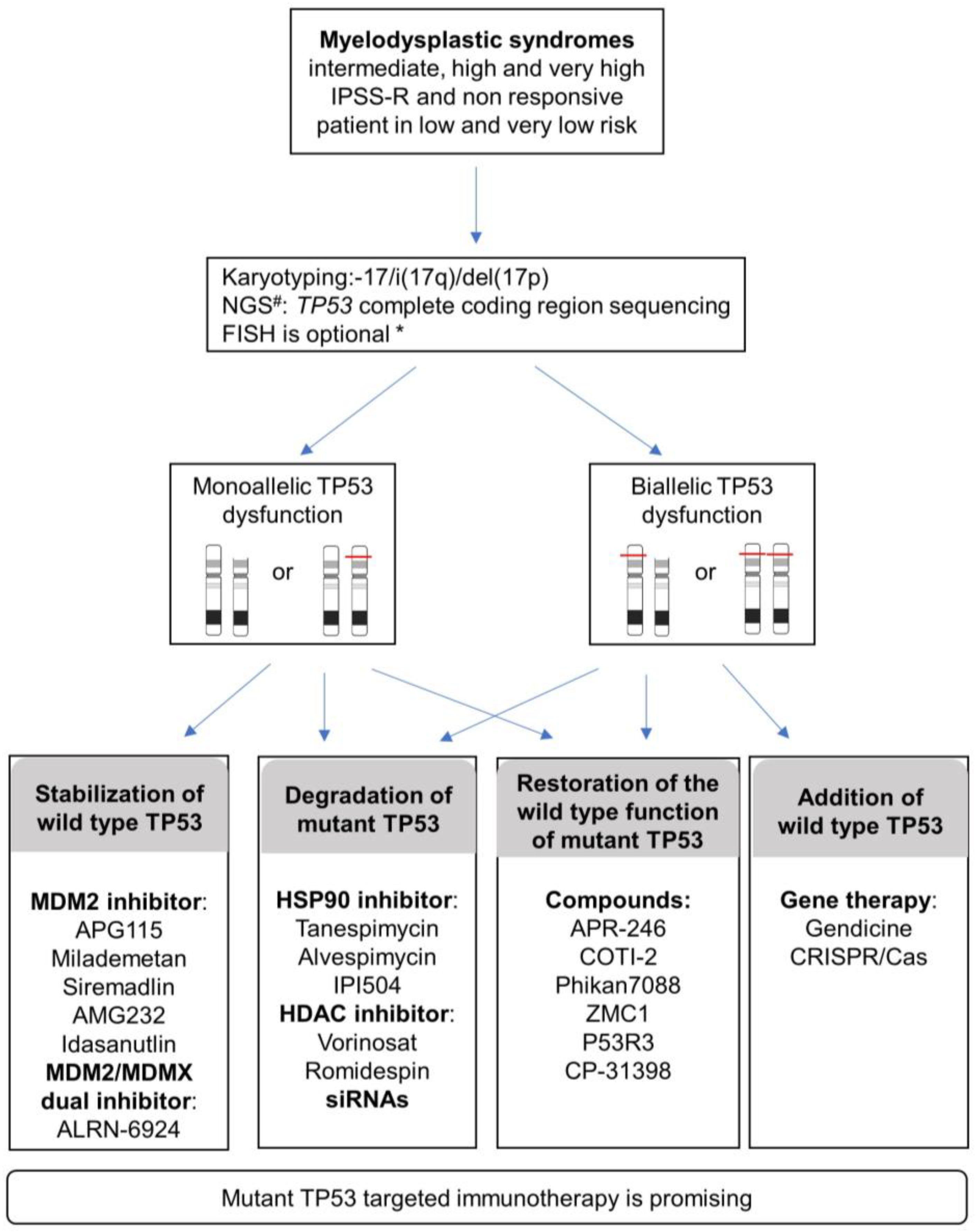 Cancers 13 05392 g003 Cancers 13 05392 g003
