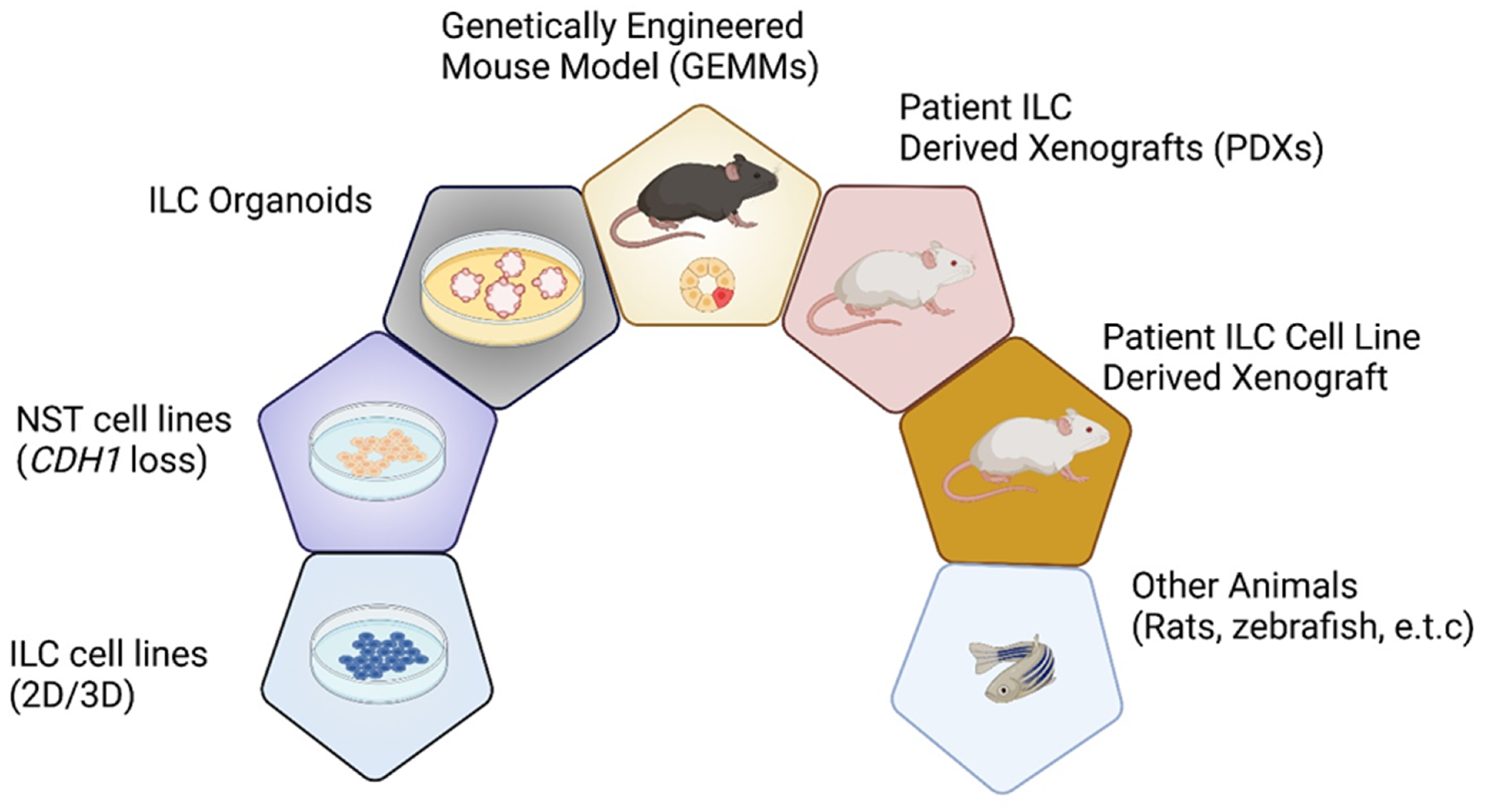 Cancers 13 05396 g001