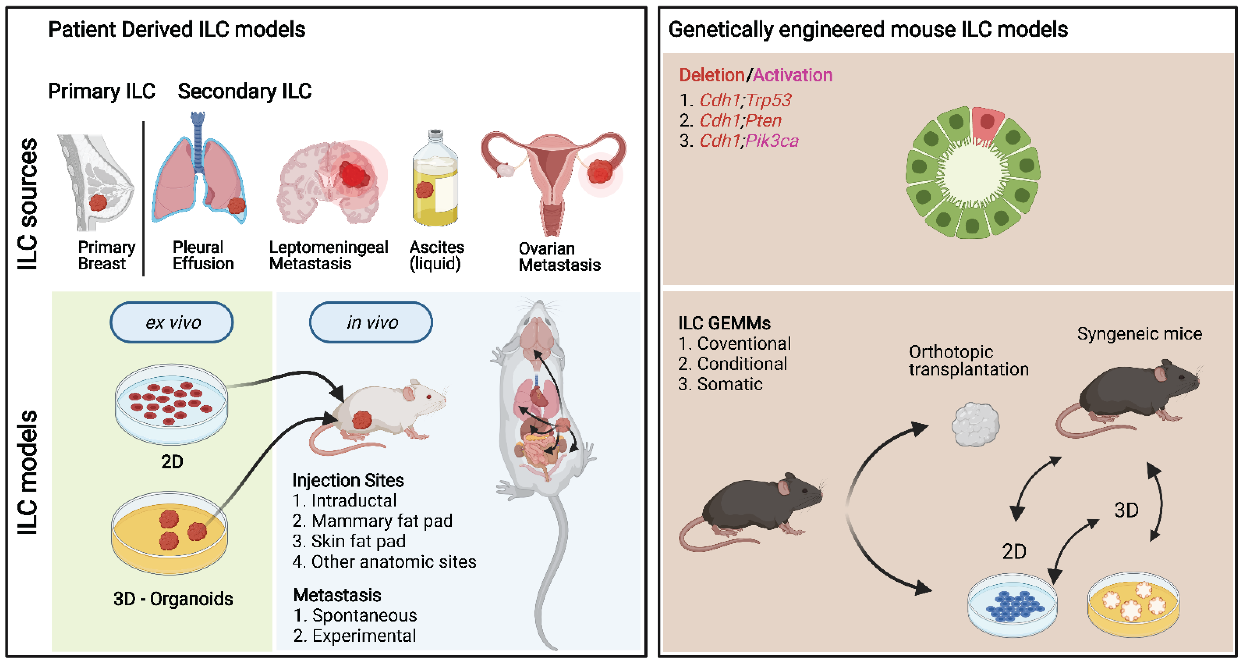 Cancers 13 05396 g003