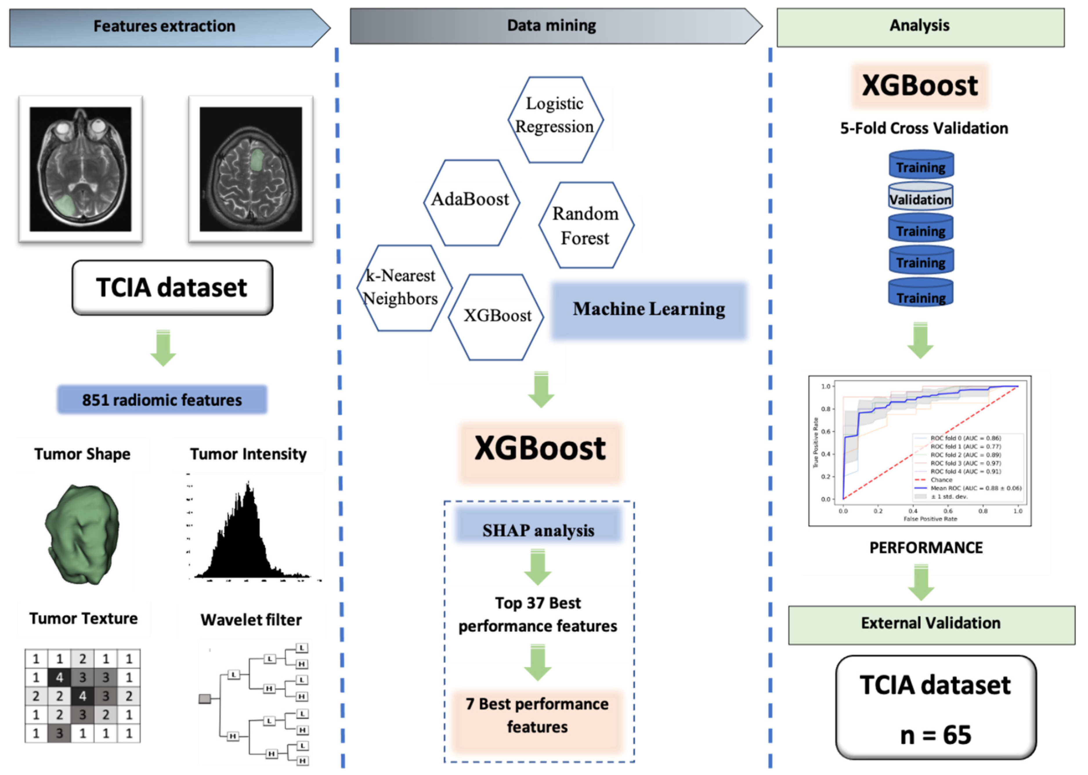 Cancers 13 05398 g004