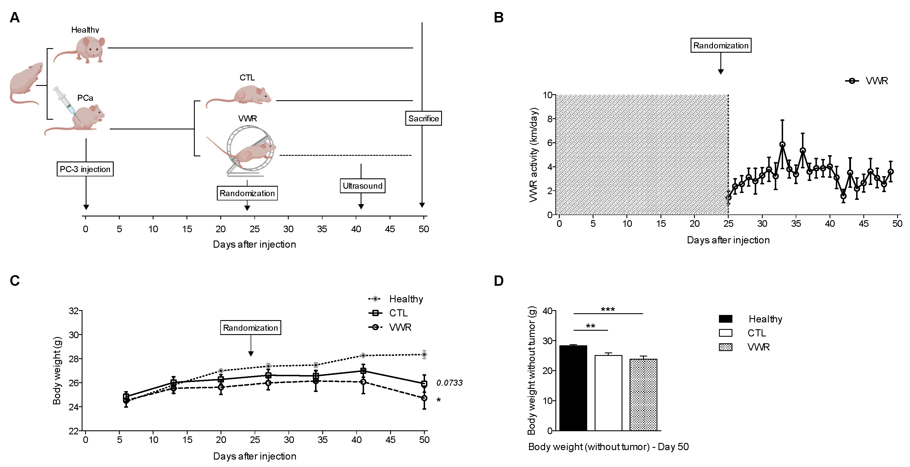 Cancers 13 05402 g001