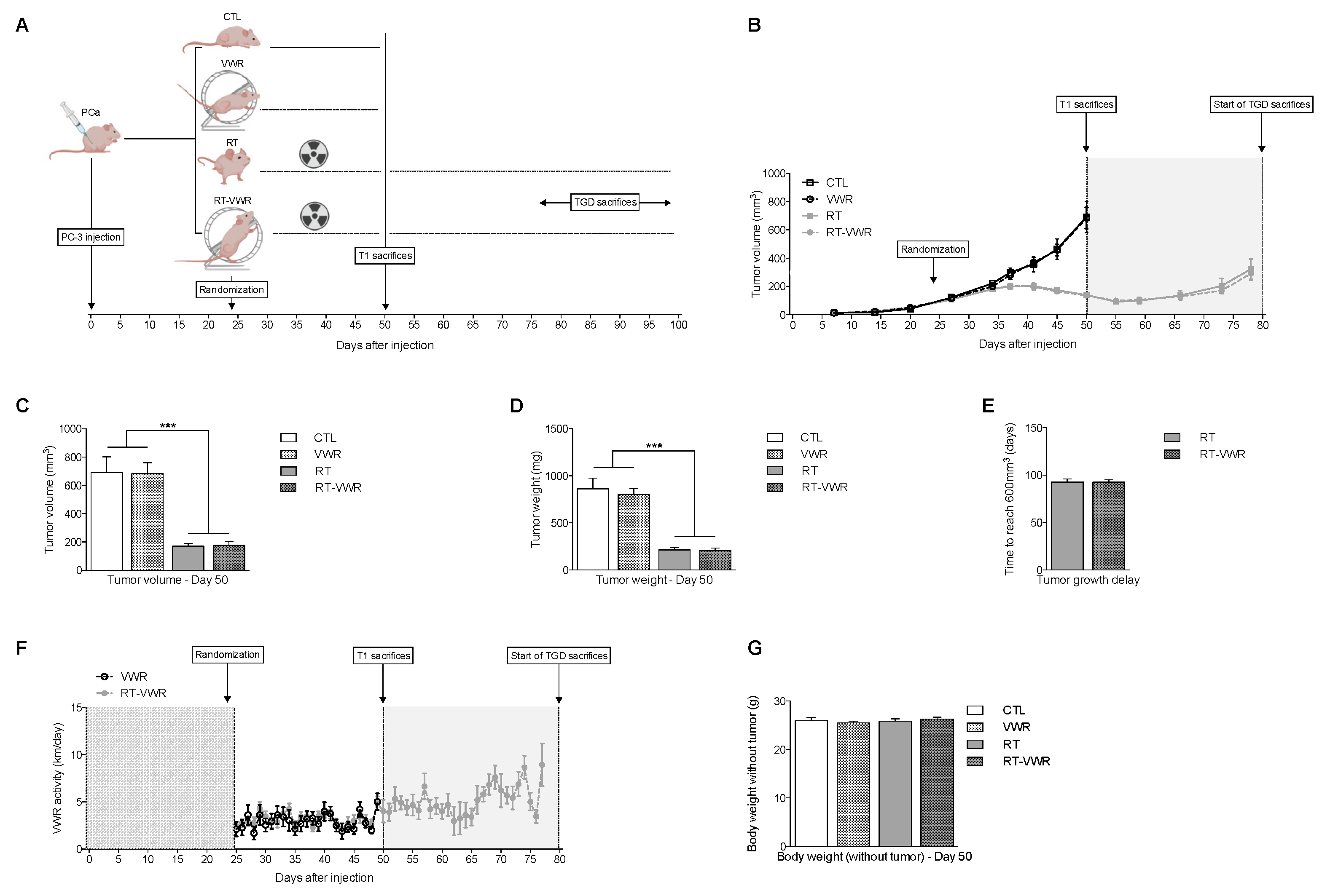 Cancers 13 05402 g003