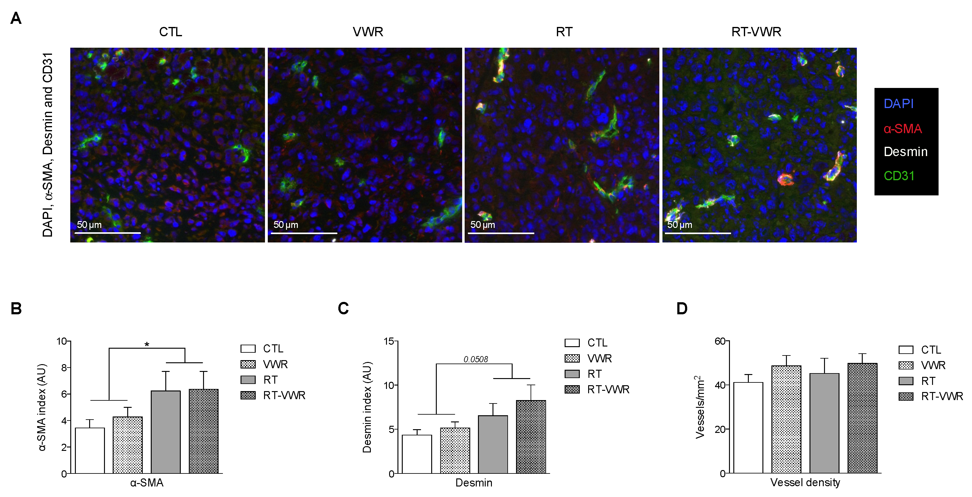 Cancers 13 05402 g004