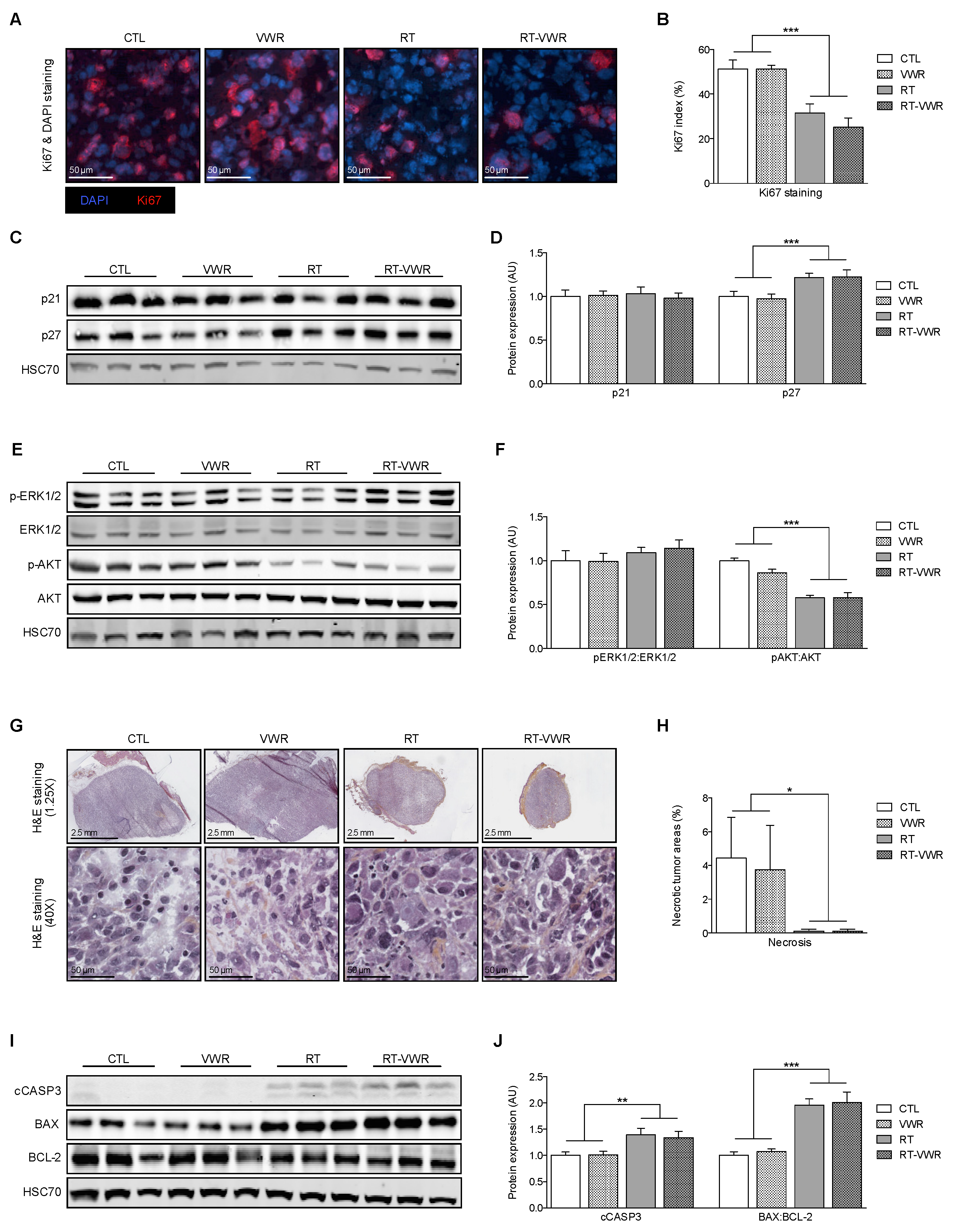 Cancers 13 05402 g005