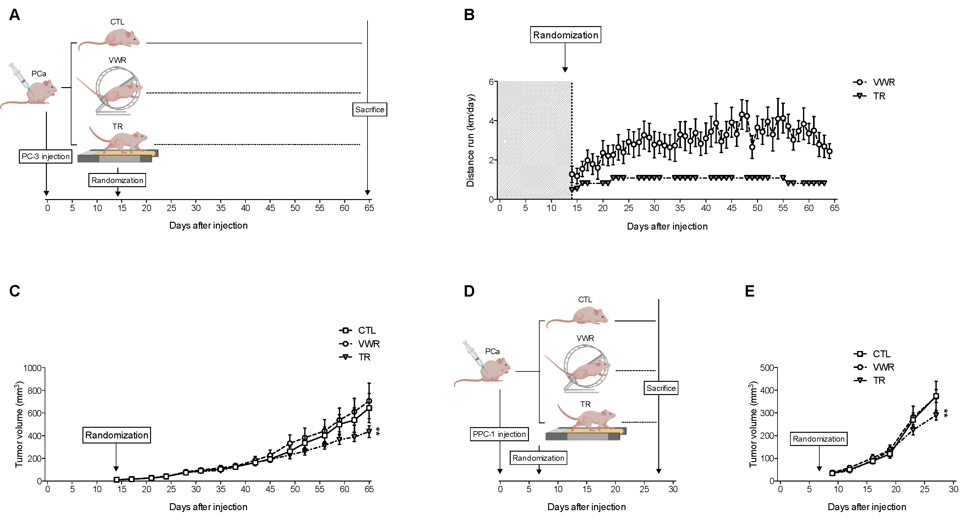Cancers 13 05402 g006