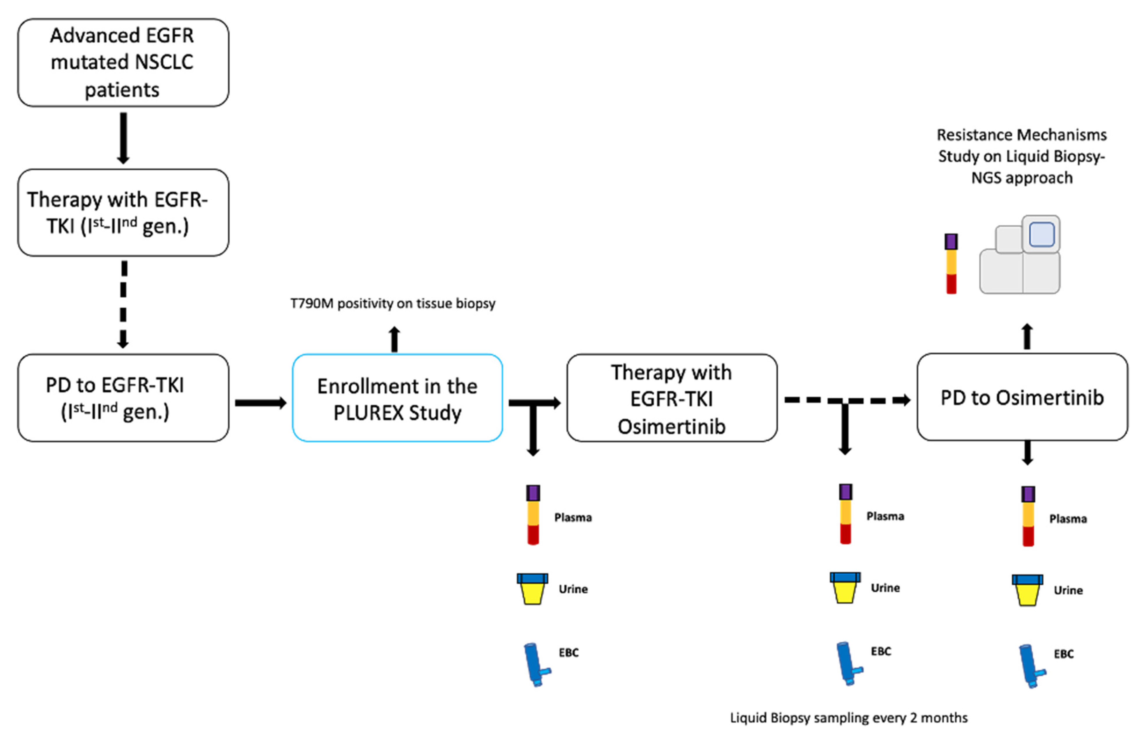 Cancers 13 05403 g001
