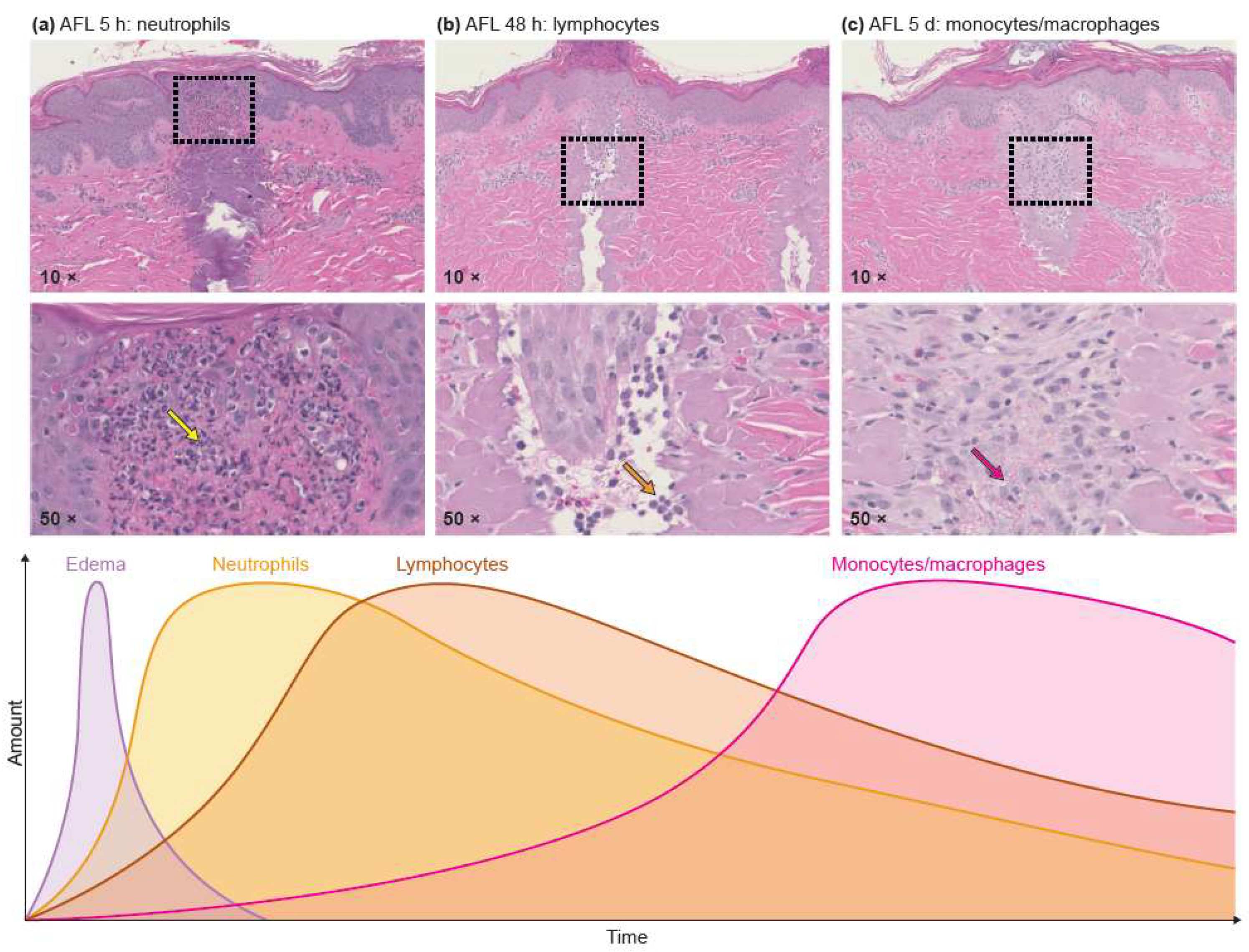 Cancers 13 05405 g002
