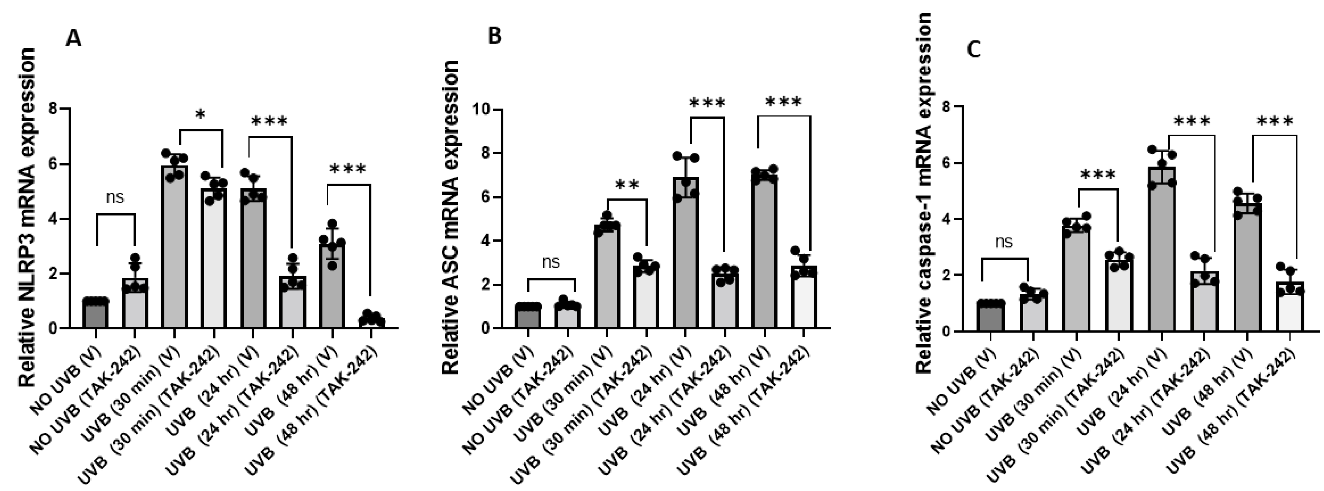 Cancers 13 05406 g002 Cancers 13 05406 g002