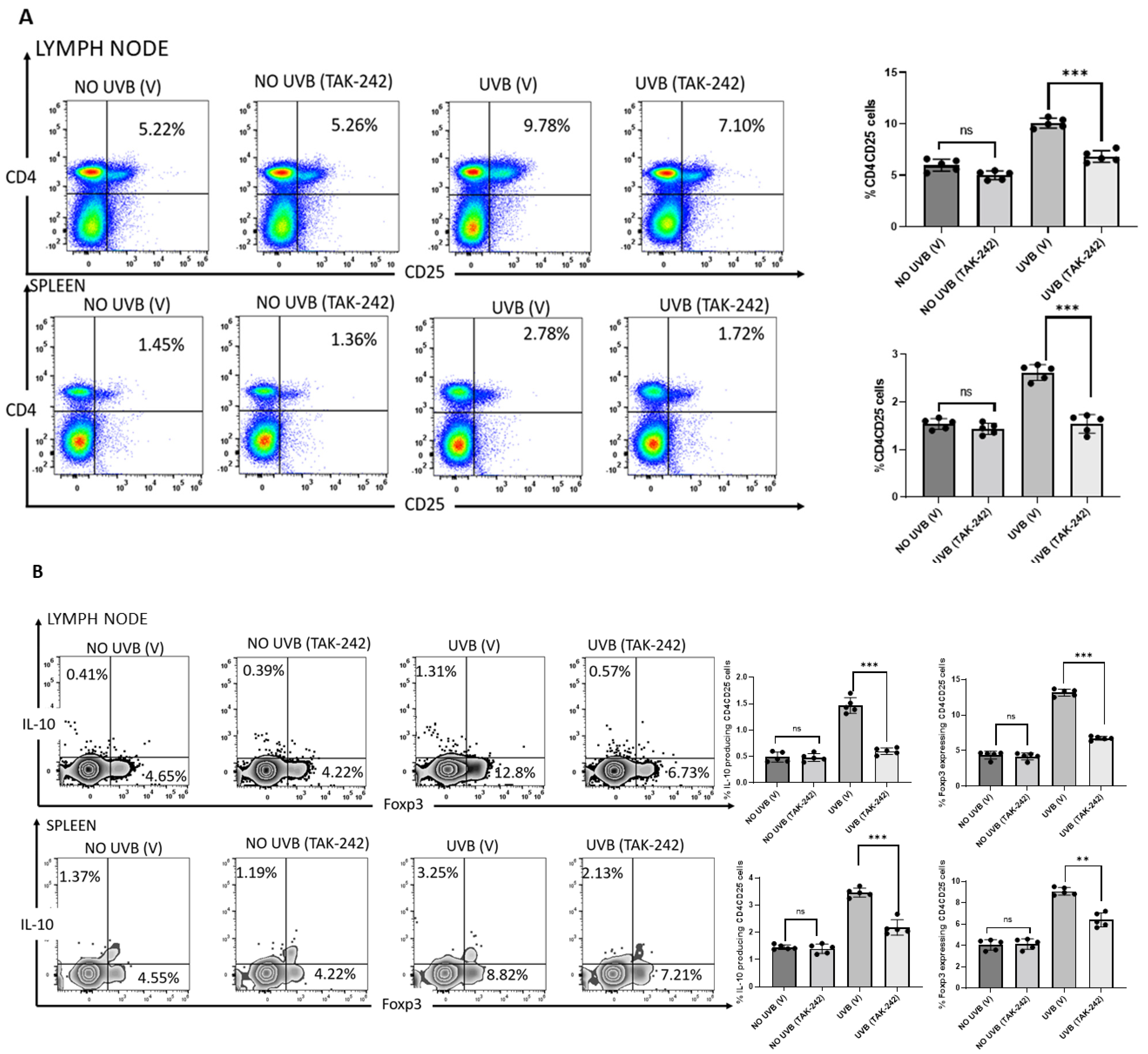 Cancers 13 05406 g005 Cancers 13 05406 g005