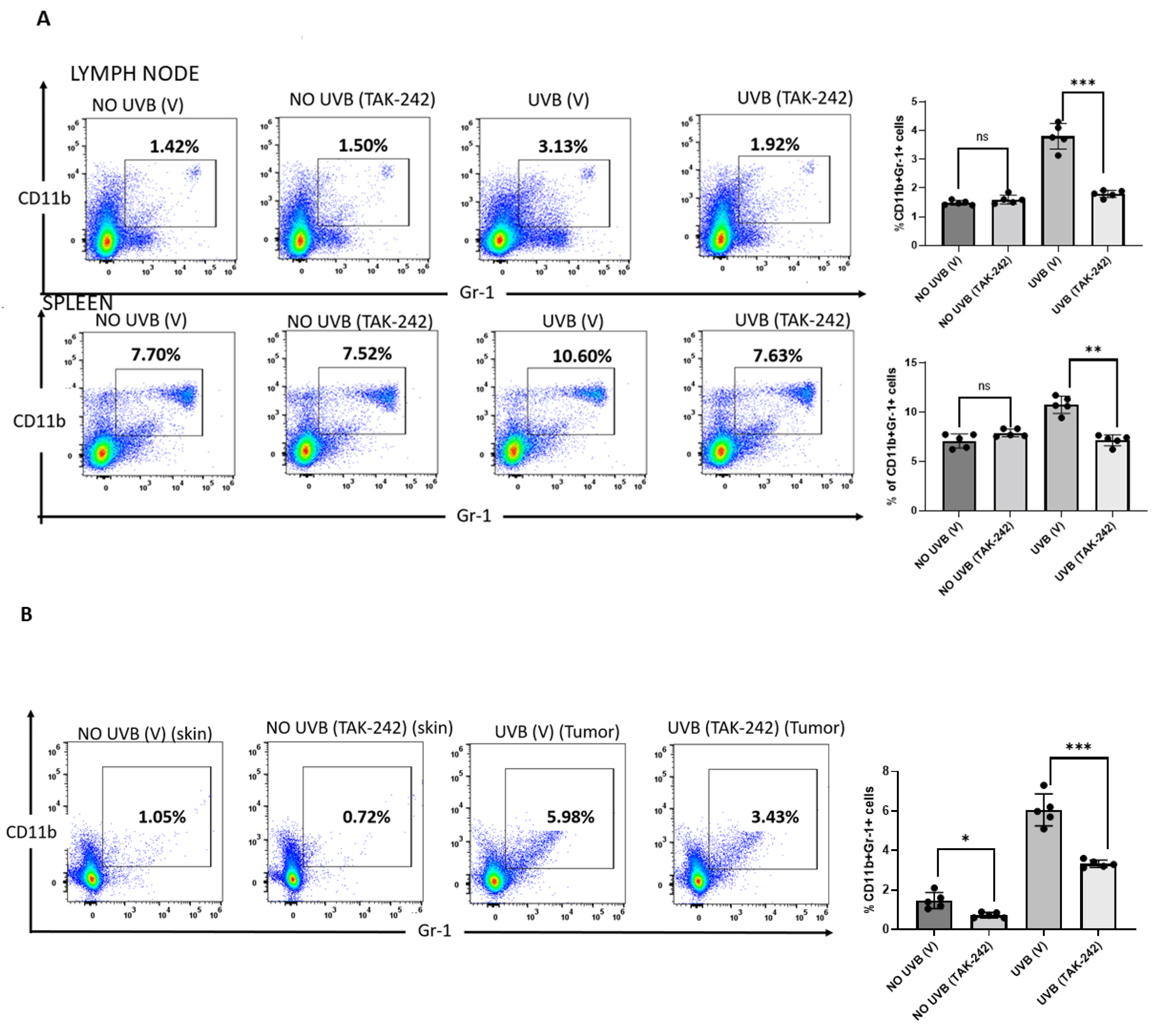 Cancers 13 05406 g006 Cancers 13 05406 g006