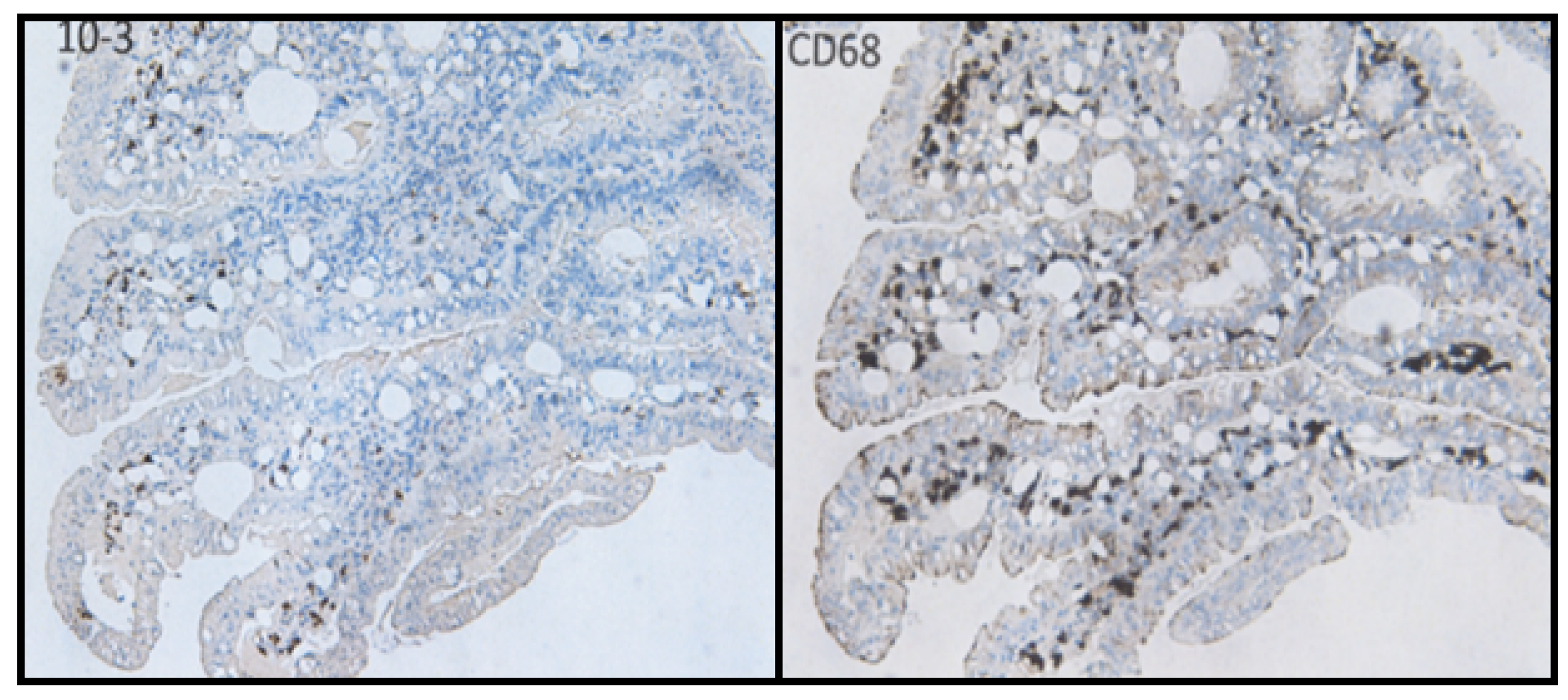 Cancers 13 05407 g006