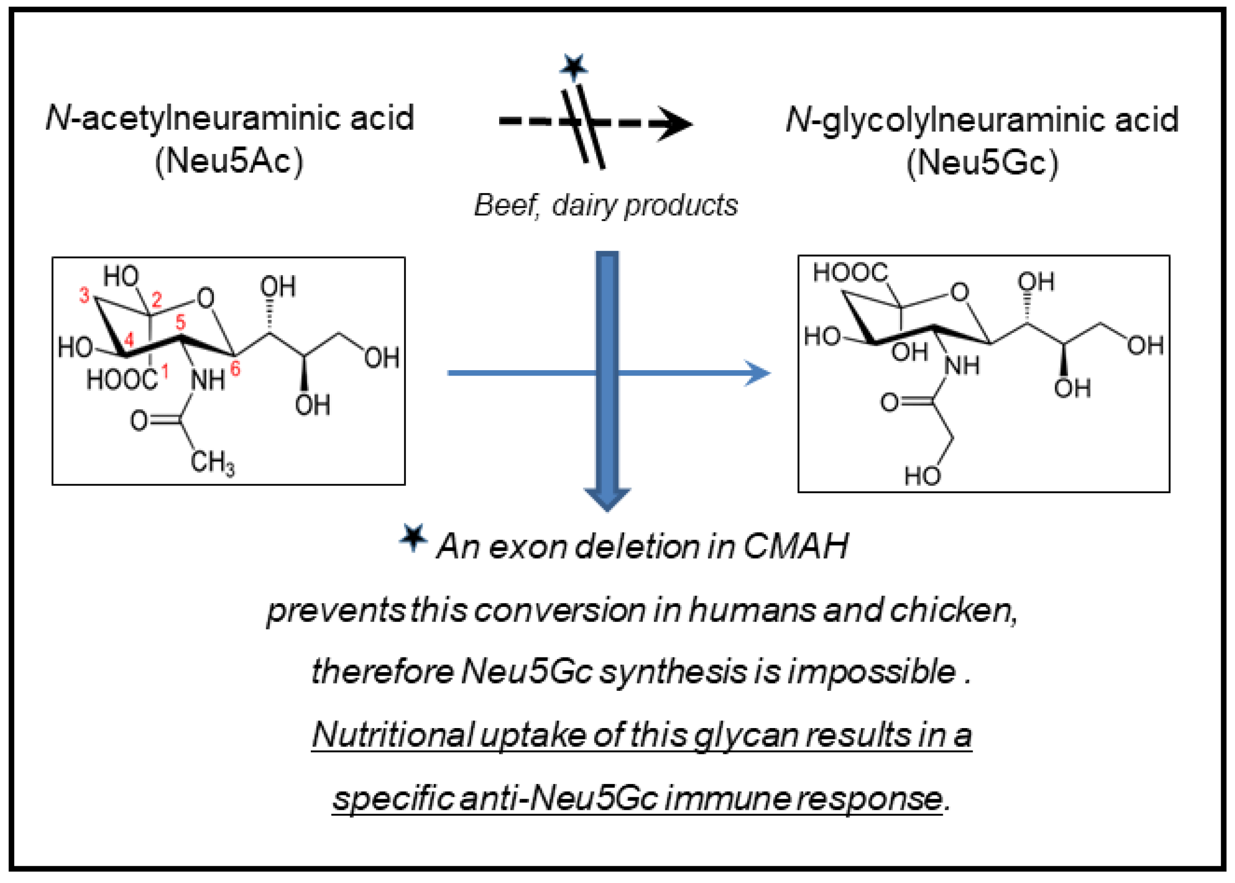 Cancers 13 05407 g008