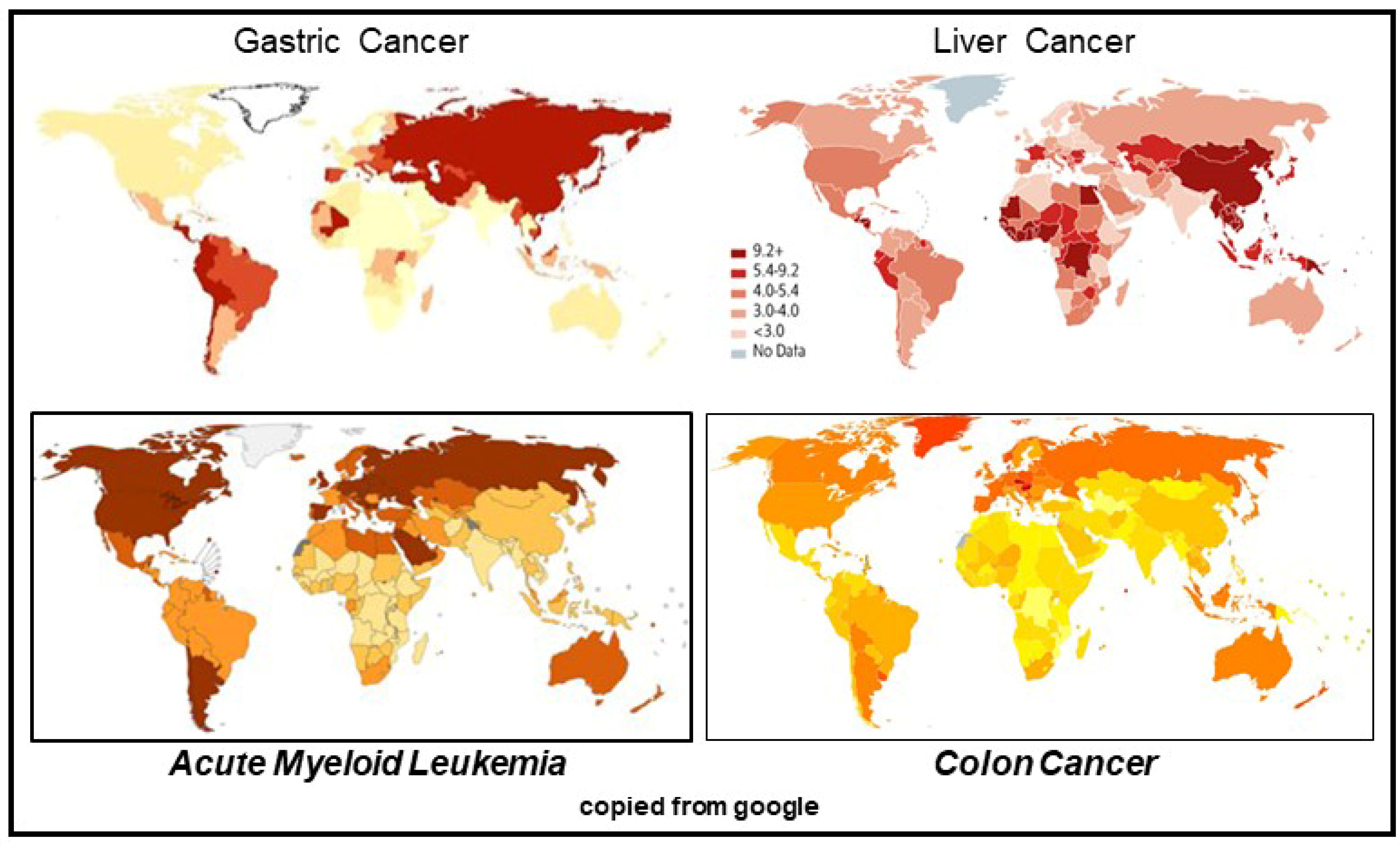 Cancers 13 05407 g013